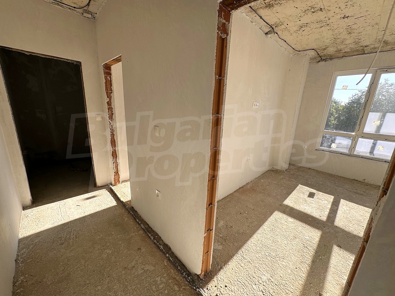 Gallery Picture 19
