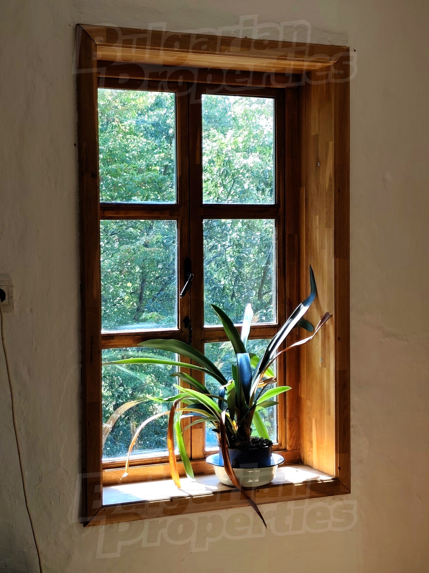 Gallery Picture 28