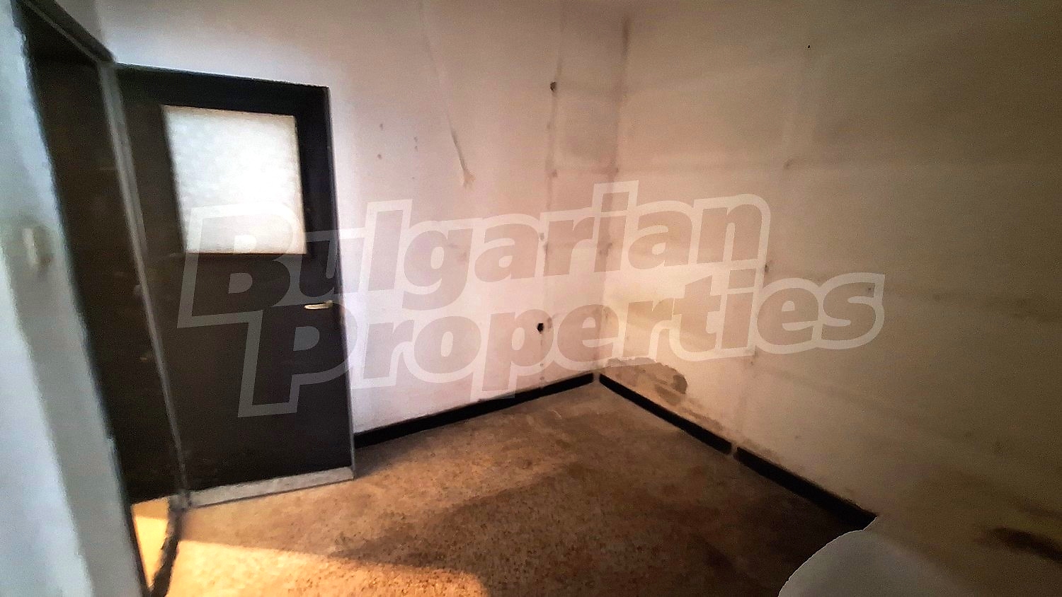 Gallery Picture 16