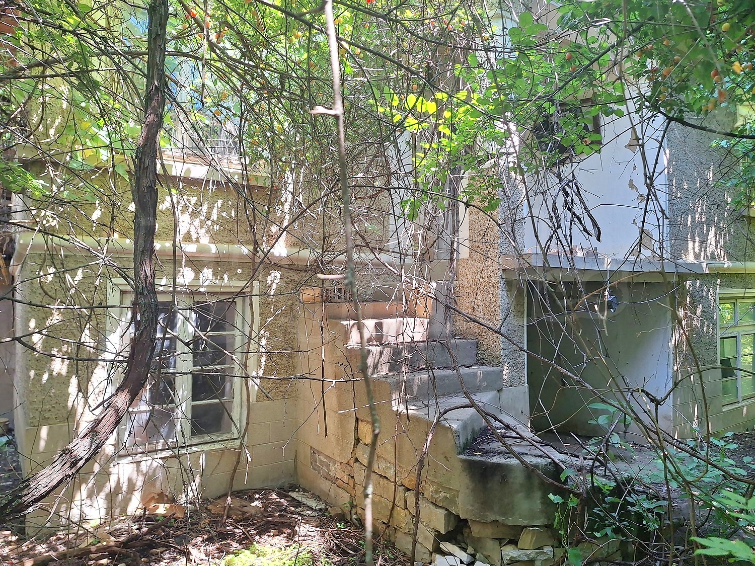 Gallery Picture 6