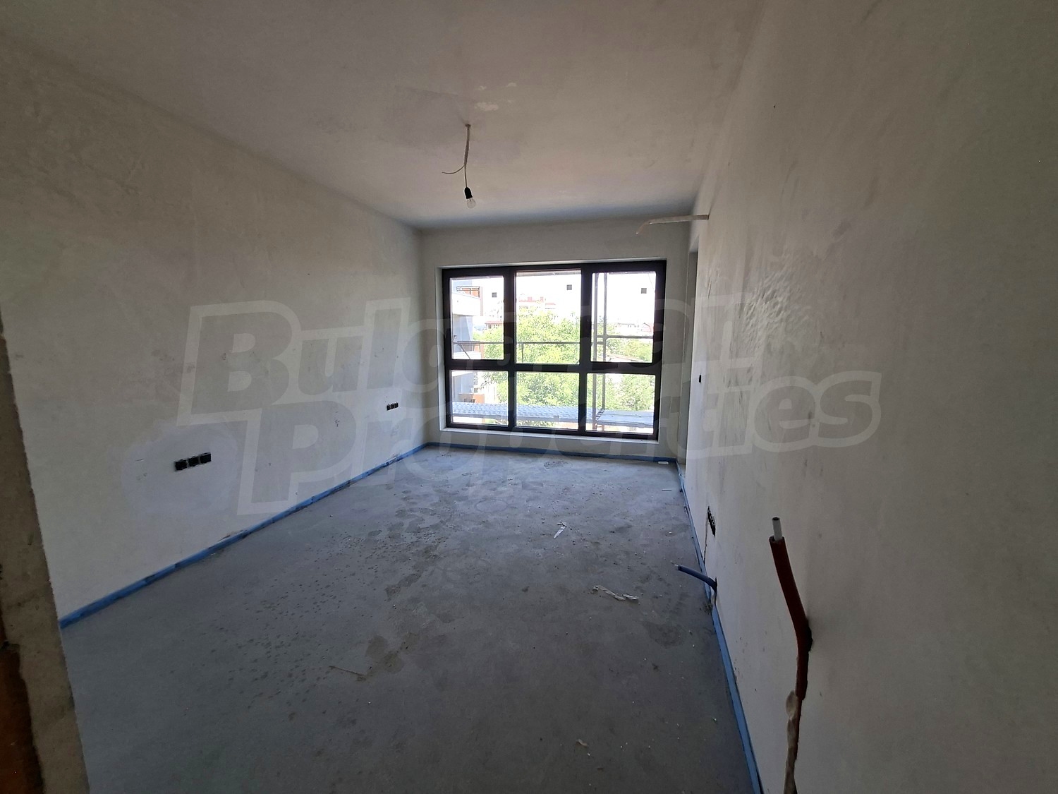 Gallery Picture 12