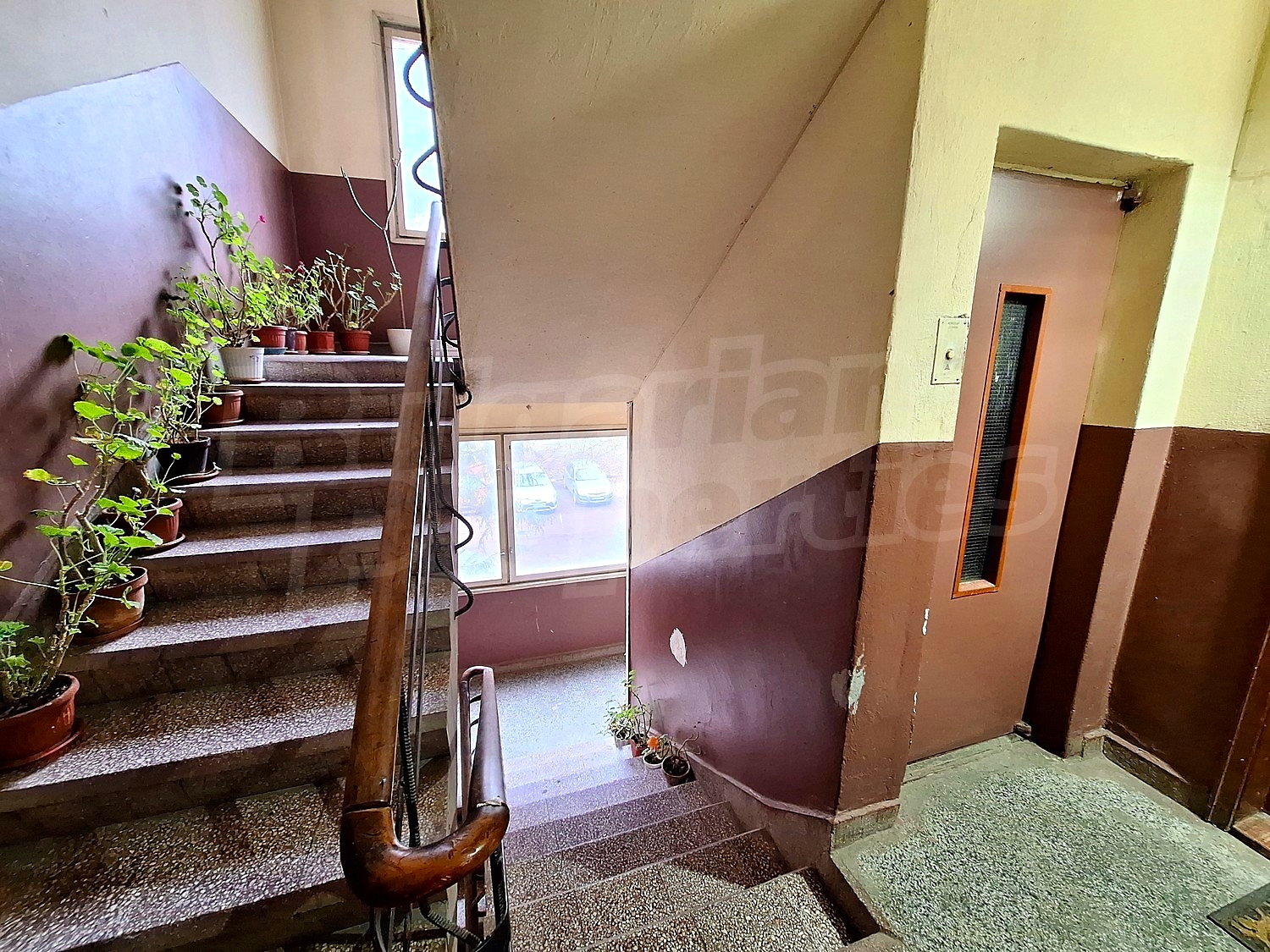 Gallery Picture 15