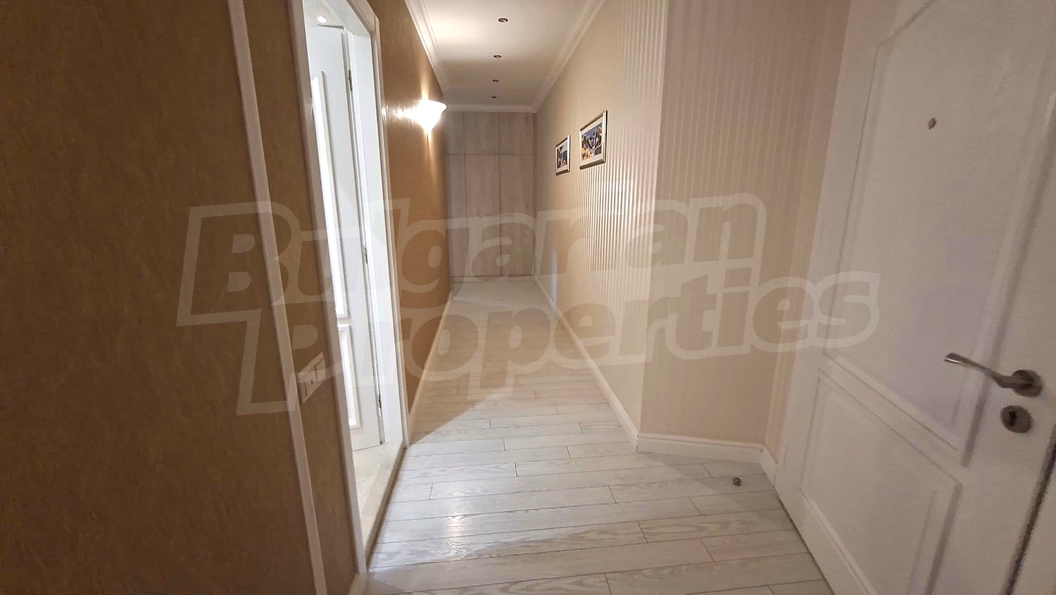 Gallery Picture 38