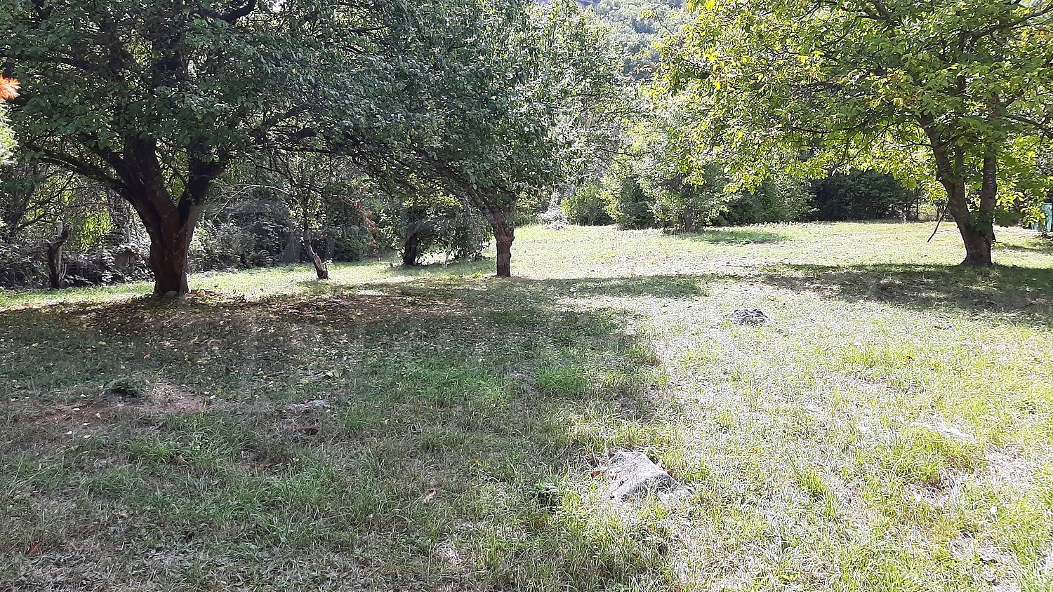 Gallery Picture 25