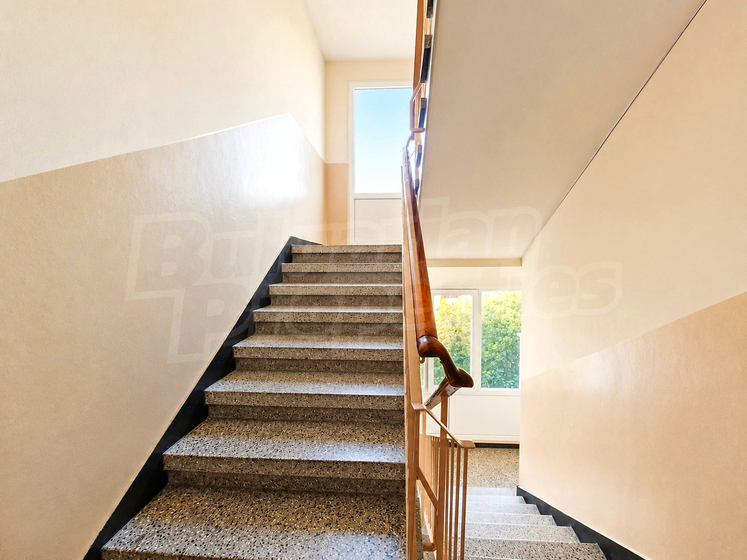 Gallery Picture 15