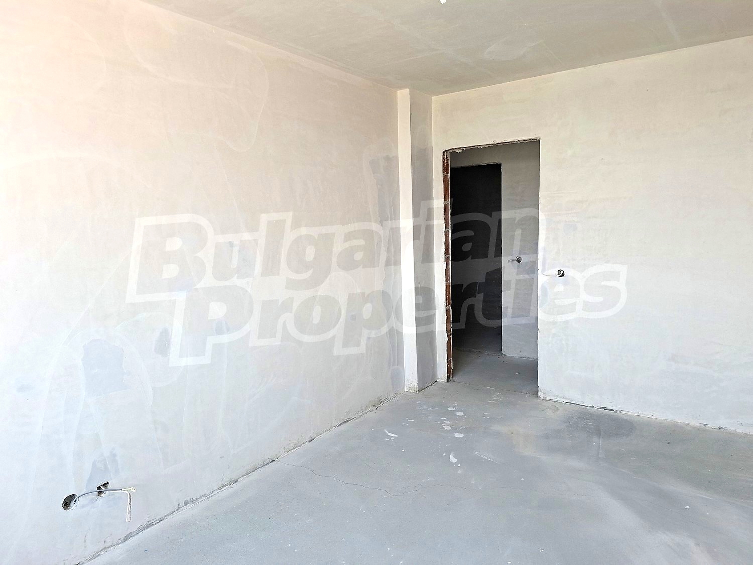 Gallery Picture 13
