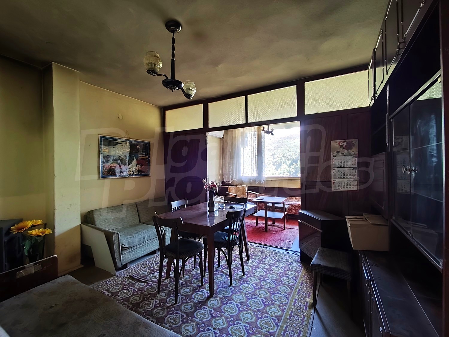 Gallery Picture 5
