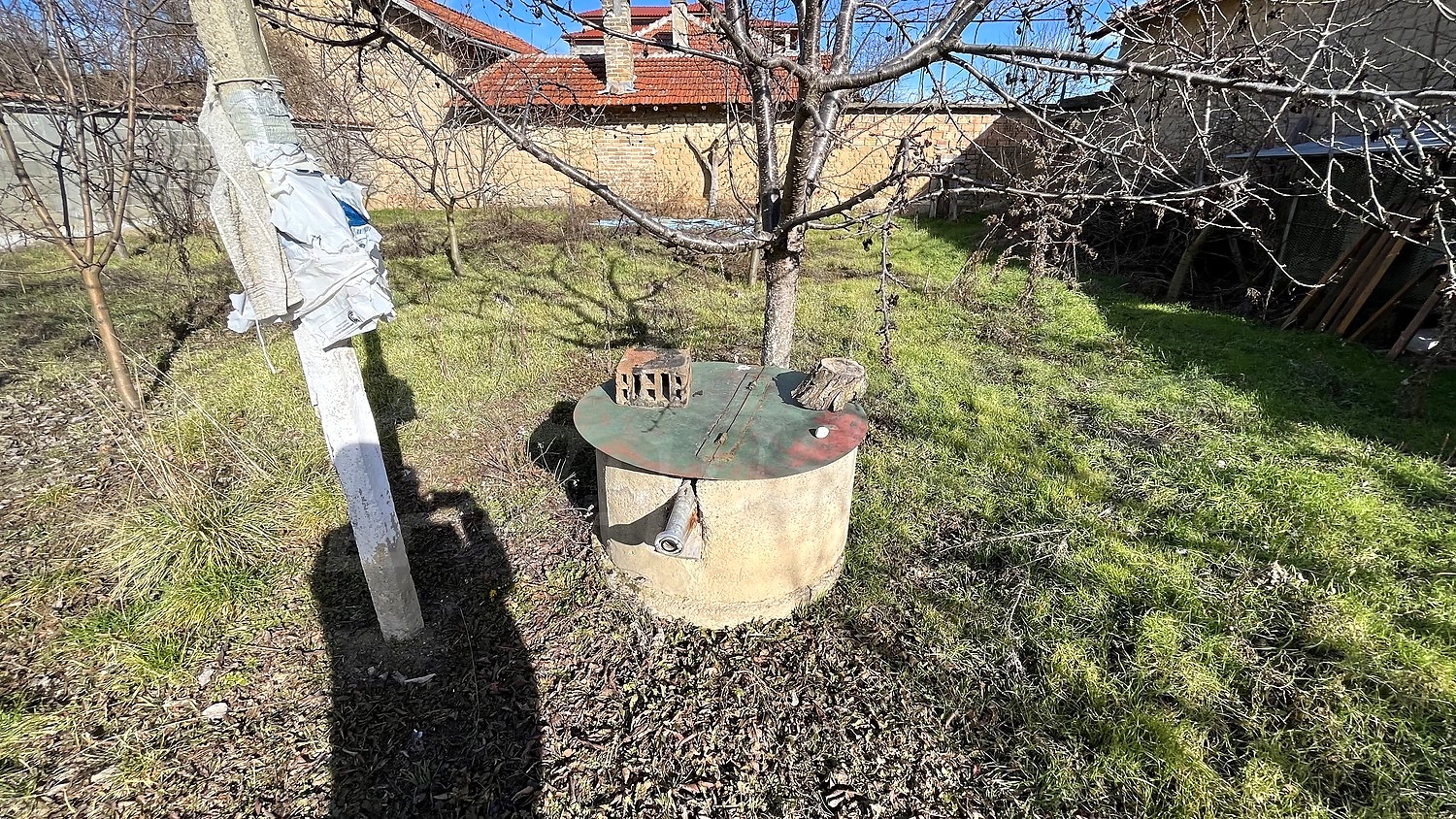 Gallery Picture 39