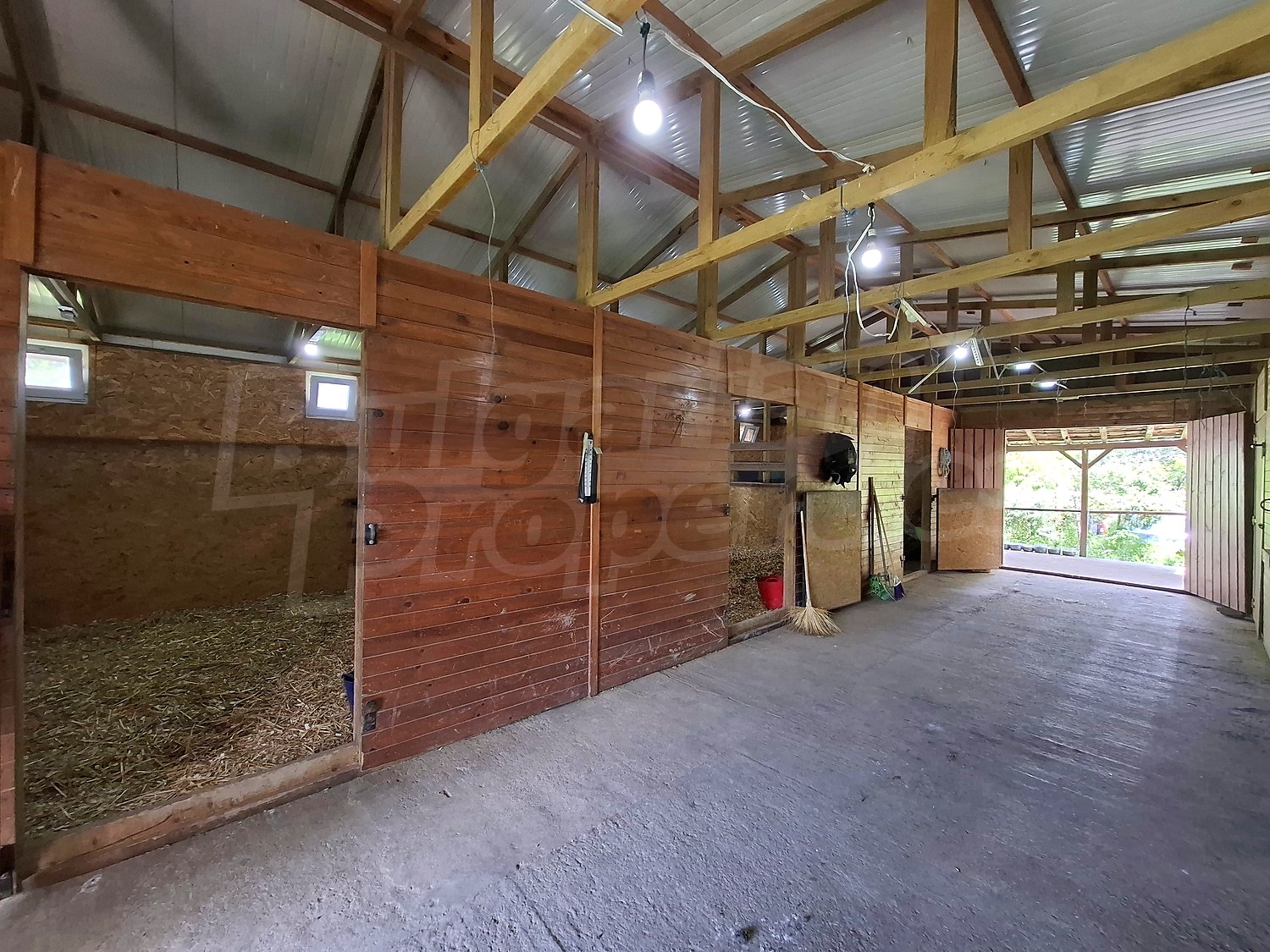 Gallery Picture 46