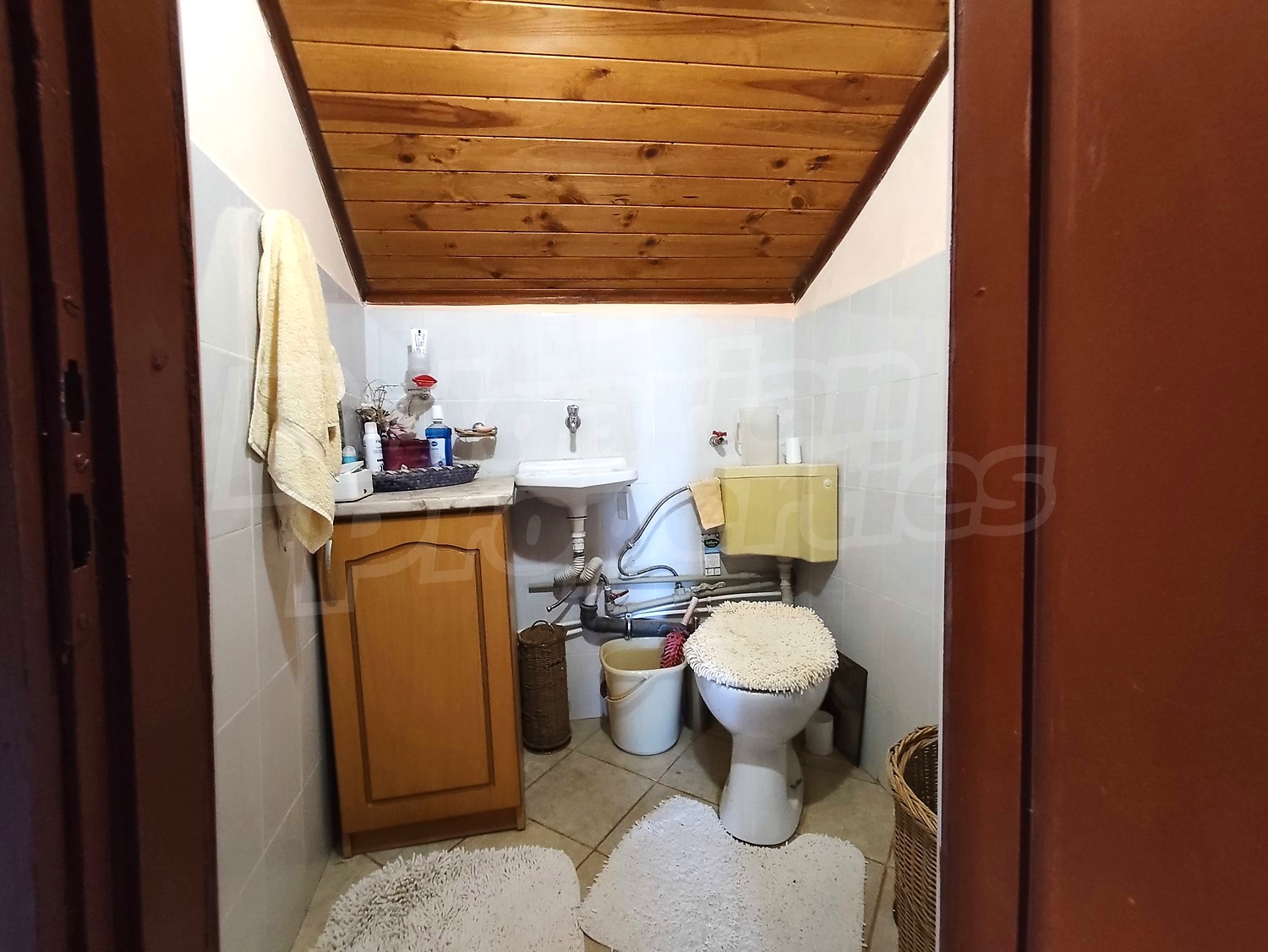 Gallery Picture 26