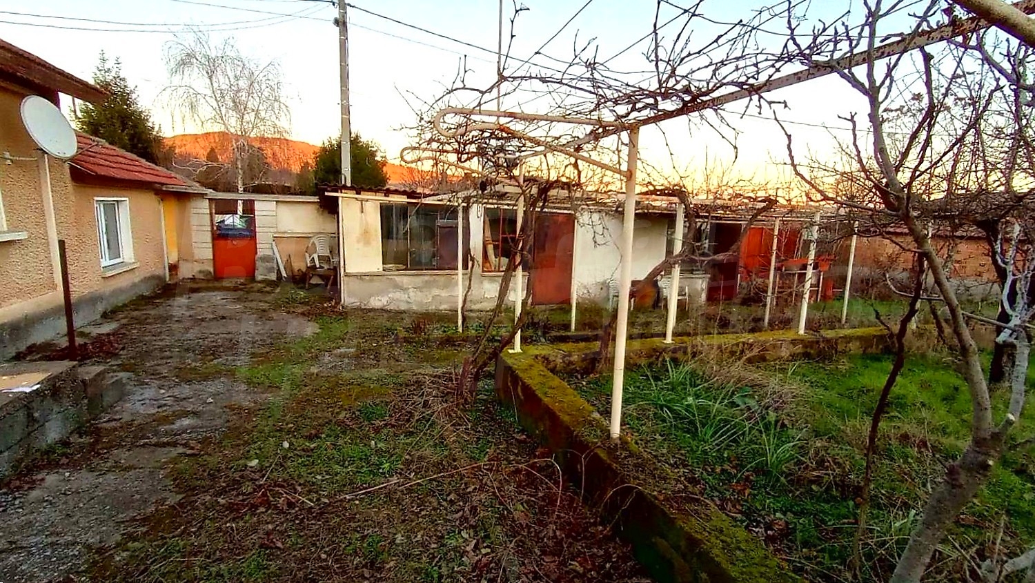 outside, garden