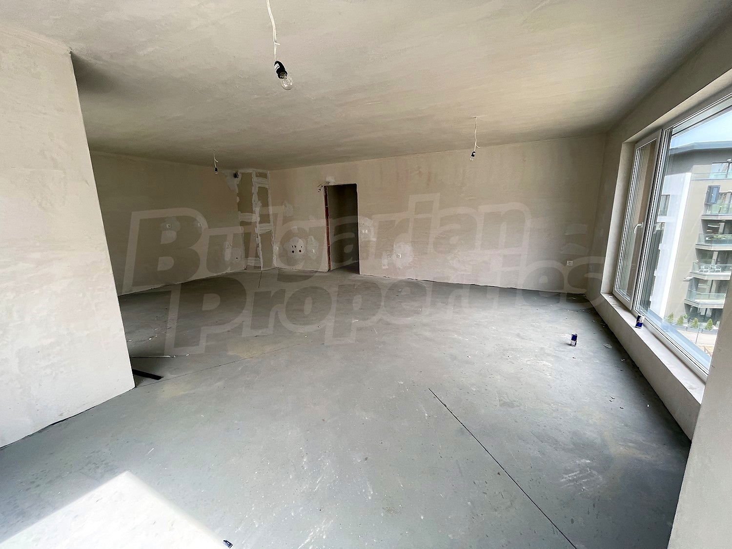 Gallery Picture 31