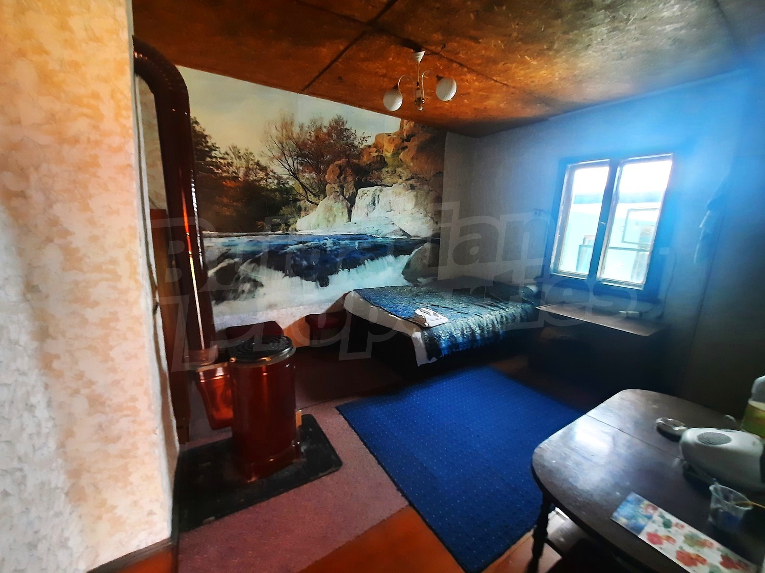 Gallery Picture 13