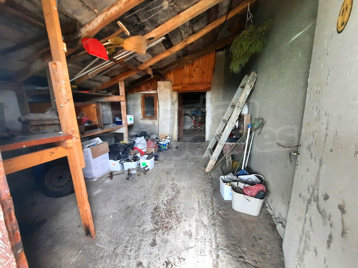 Gallery Picture 16