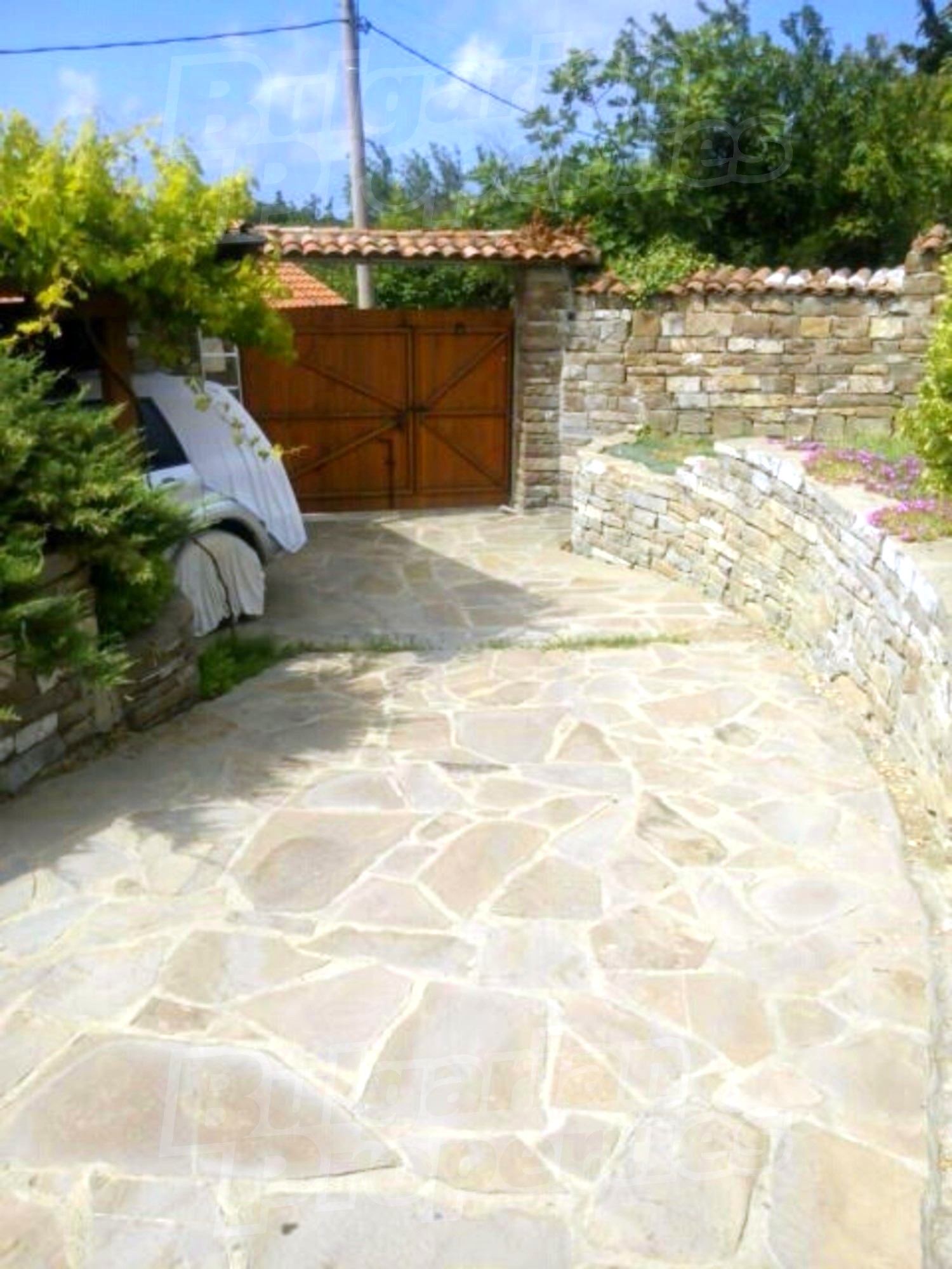 Gallery Picture 28