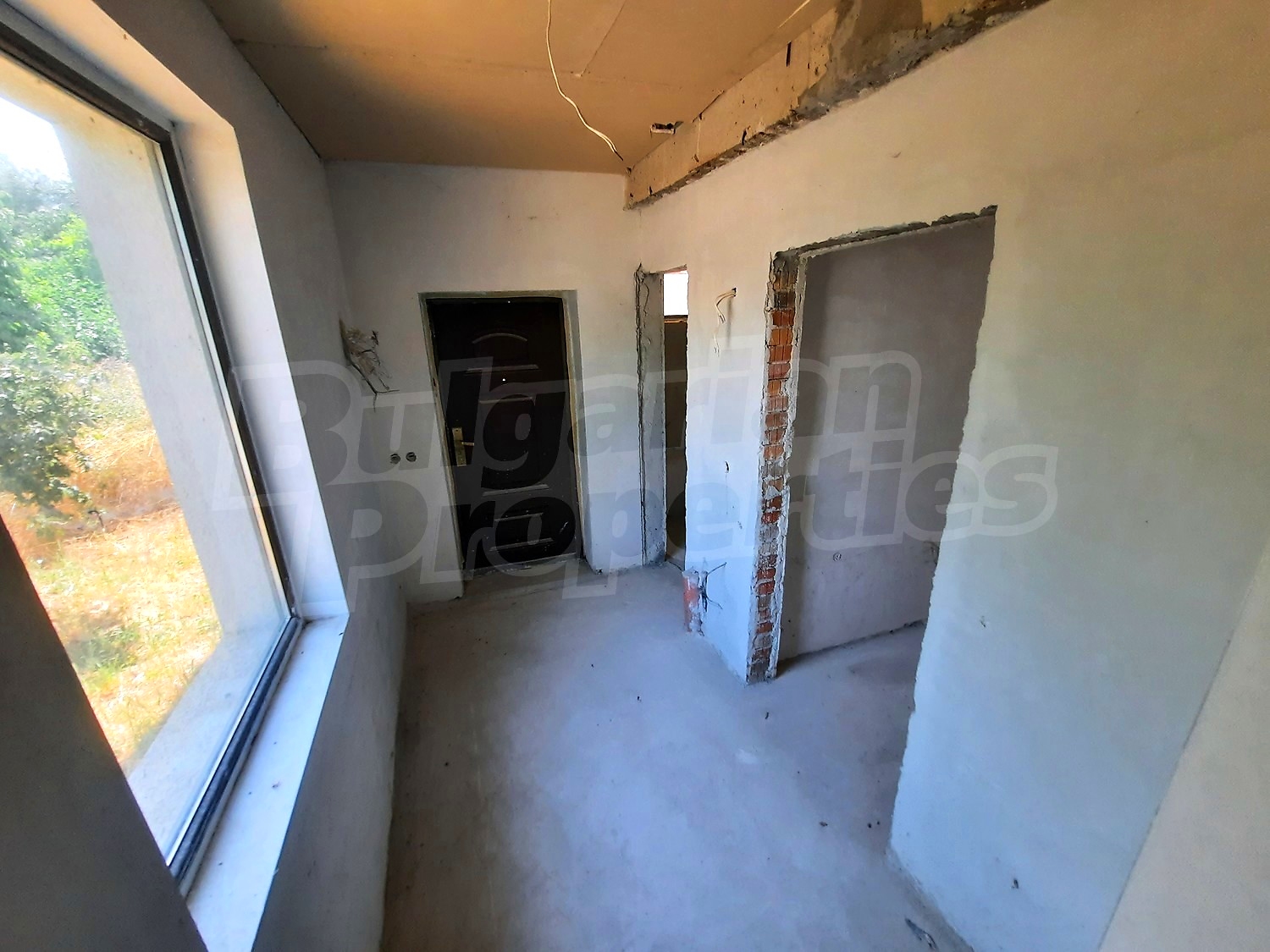 Gallery Picture 19