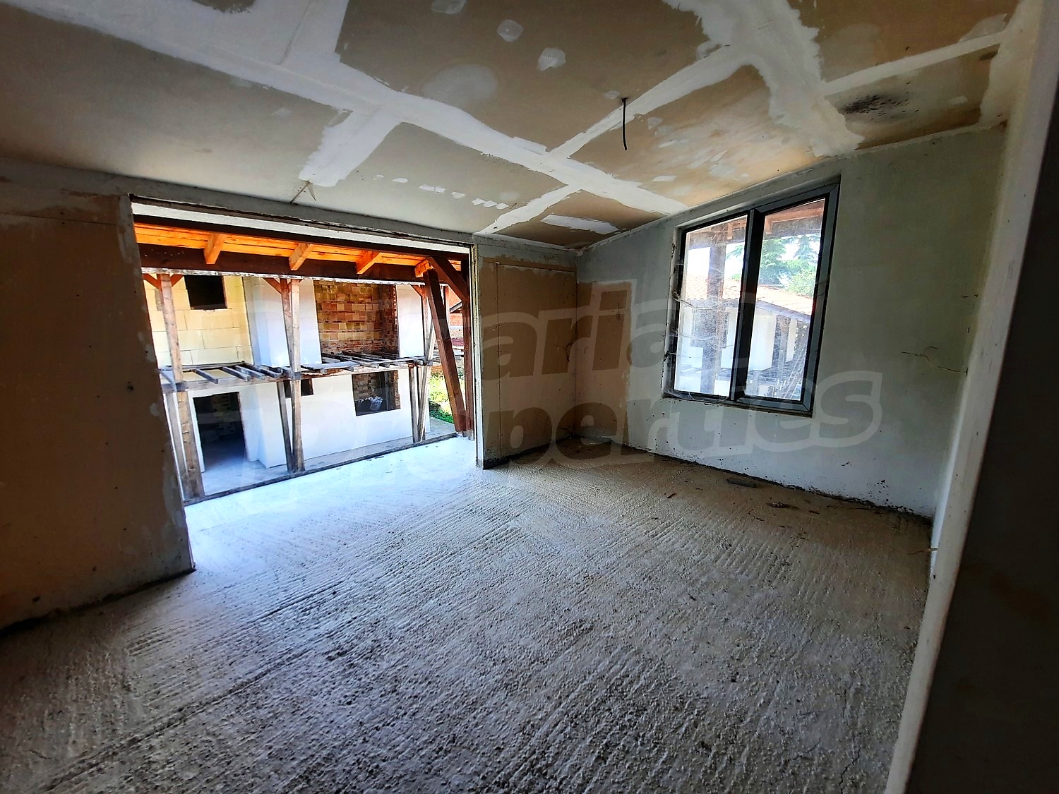 Gallery Picture 12
