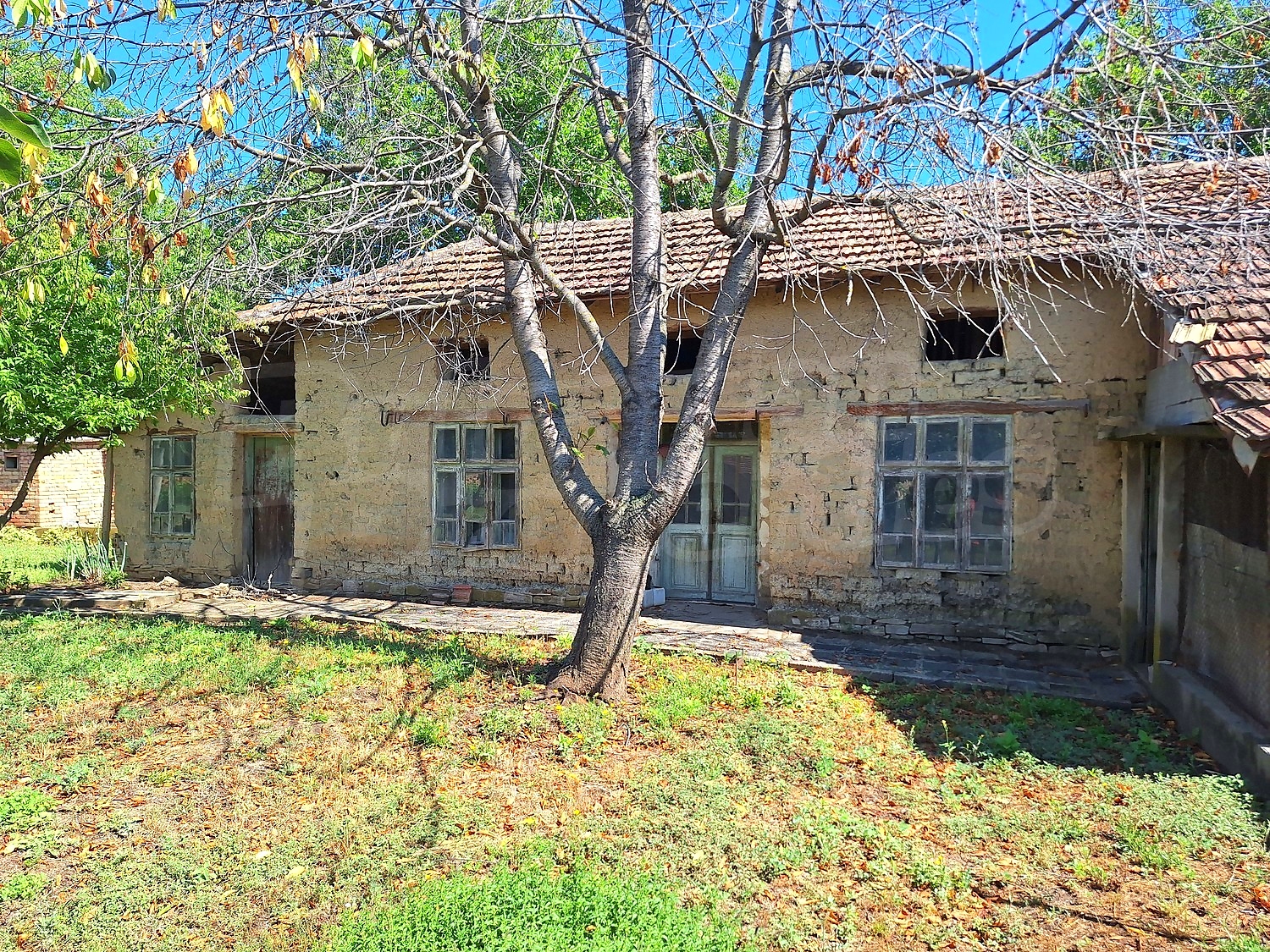 Gallery Picture 18