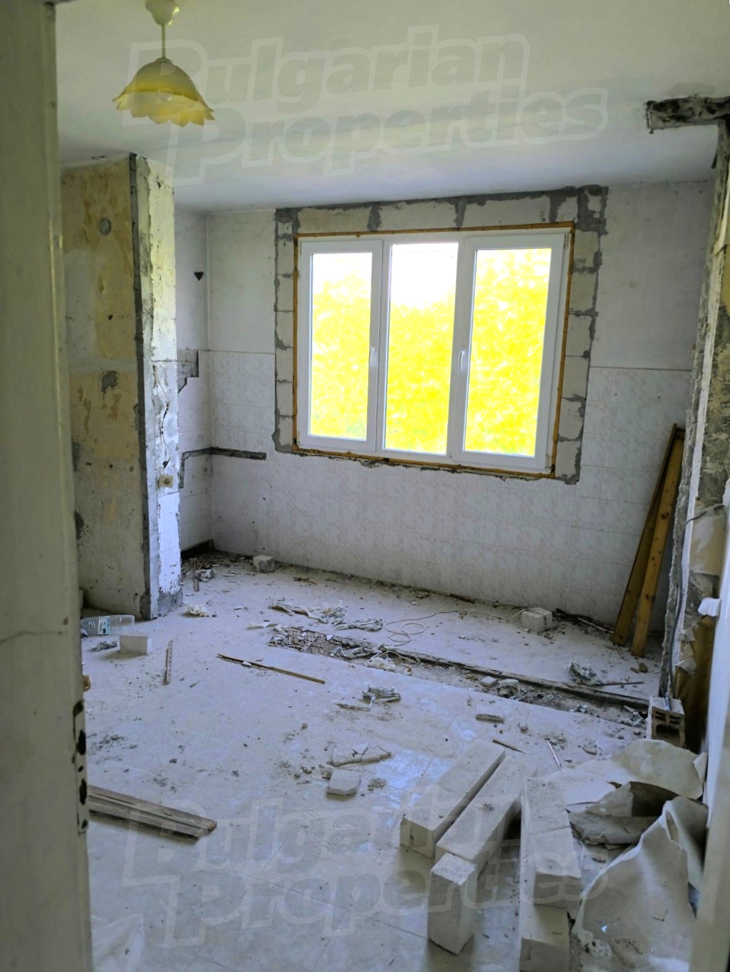 Gallery Picture 6