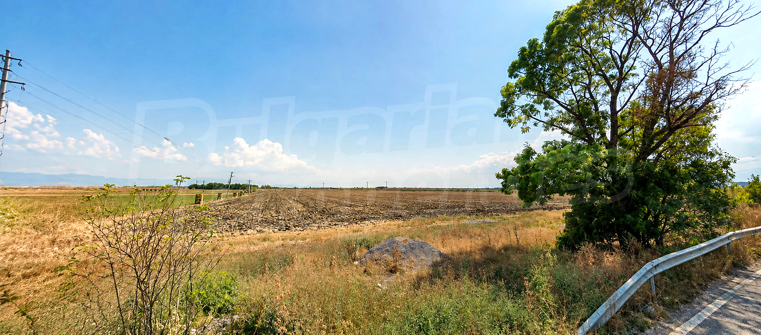 Gallery Picture 5