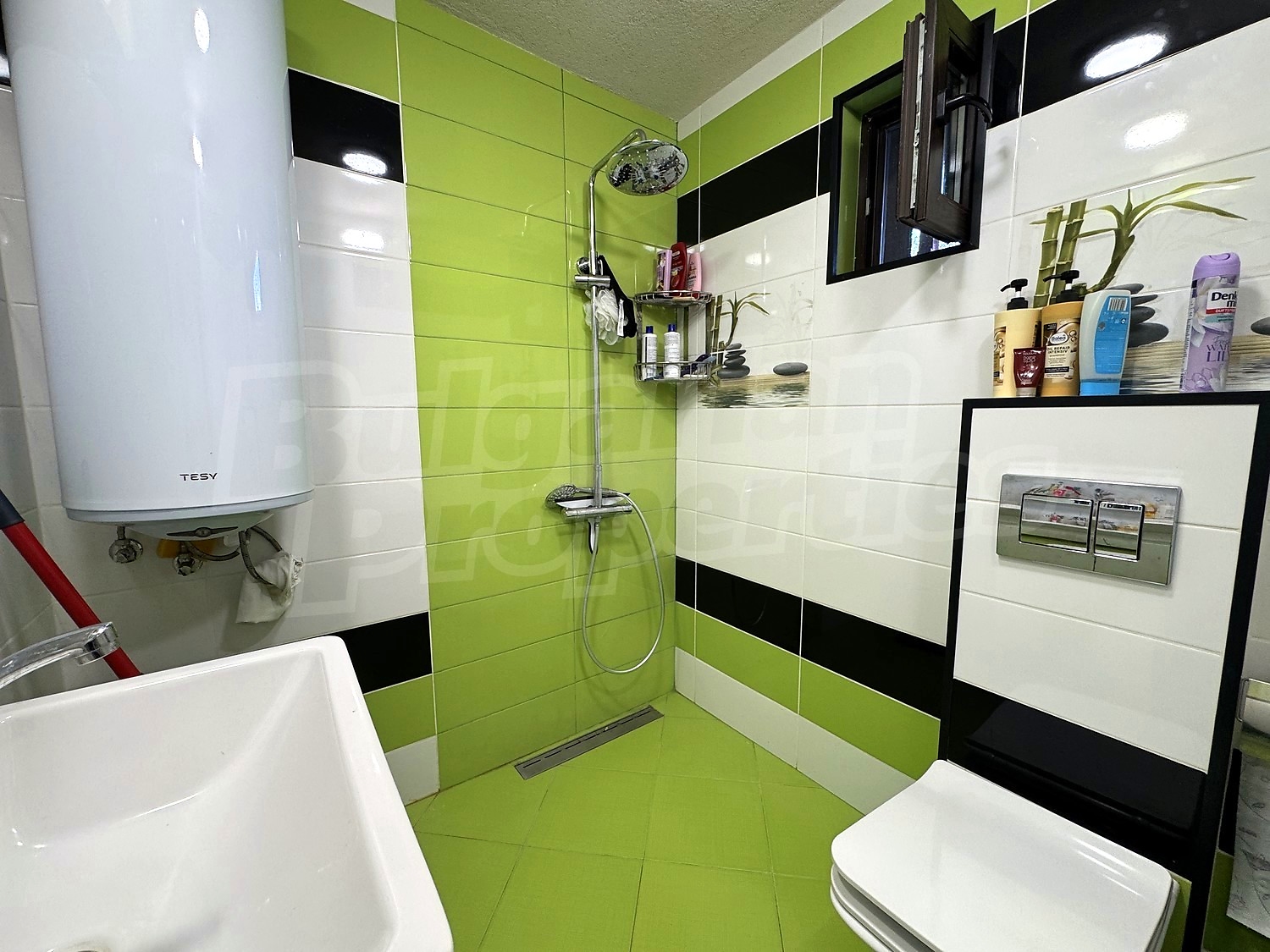 Gallery Picture 16
