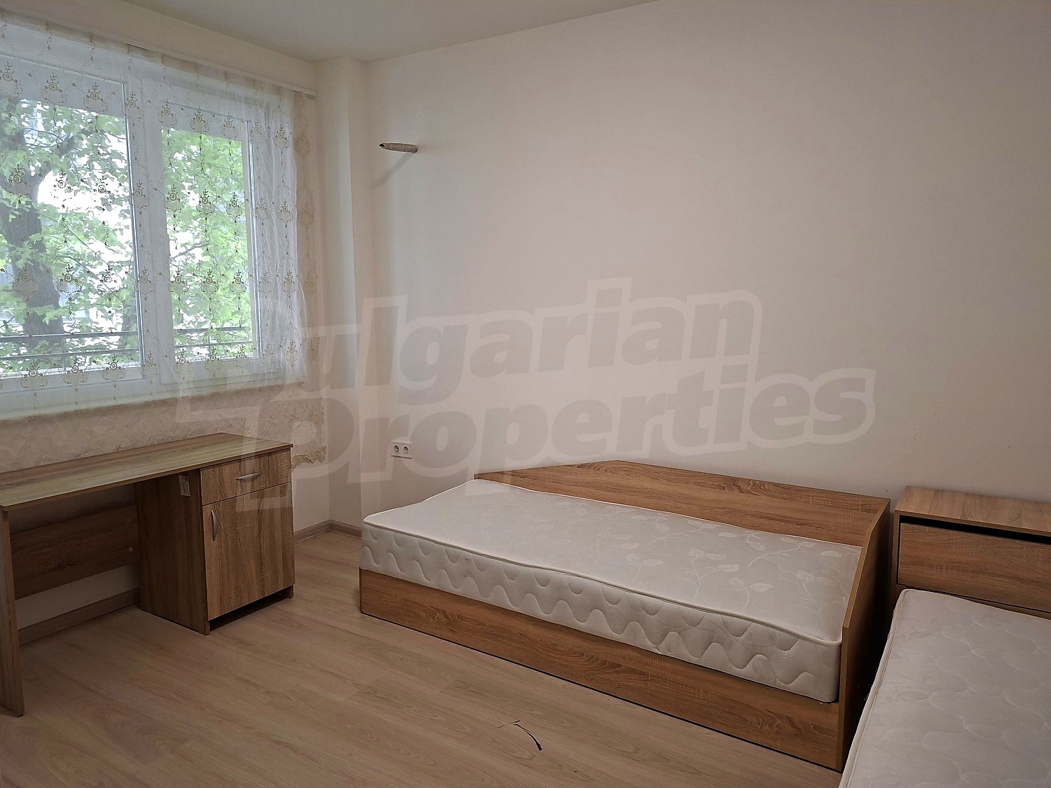 Gallery Picture 5