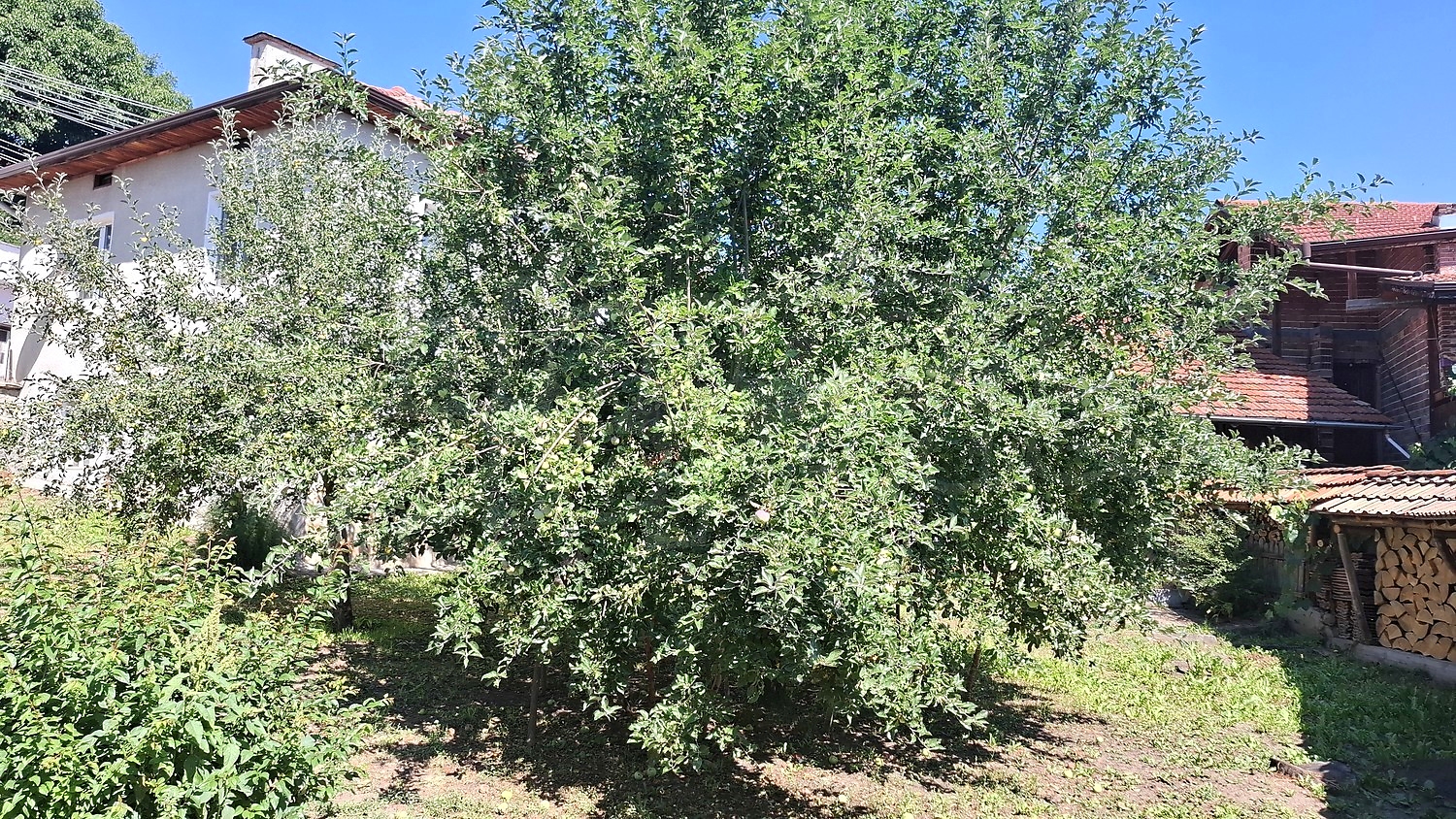 Gallery Picture 28