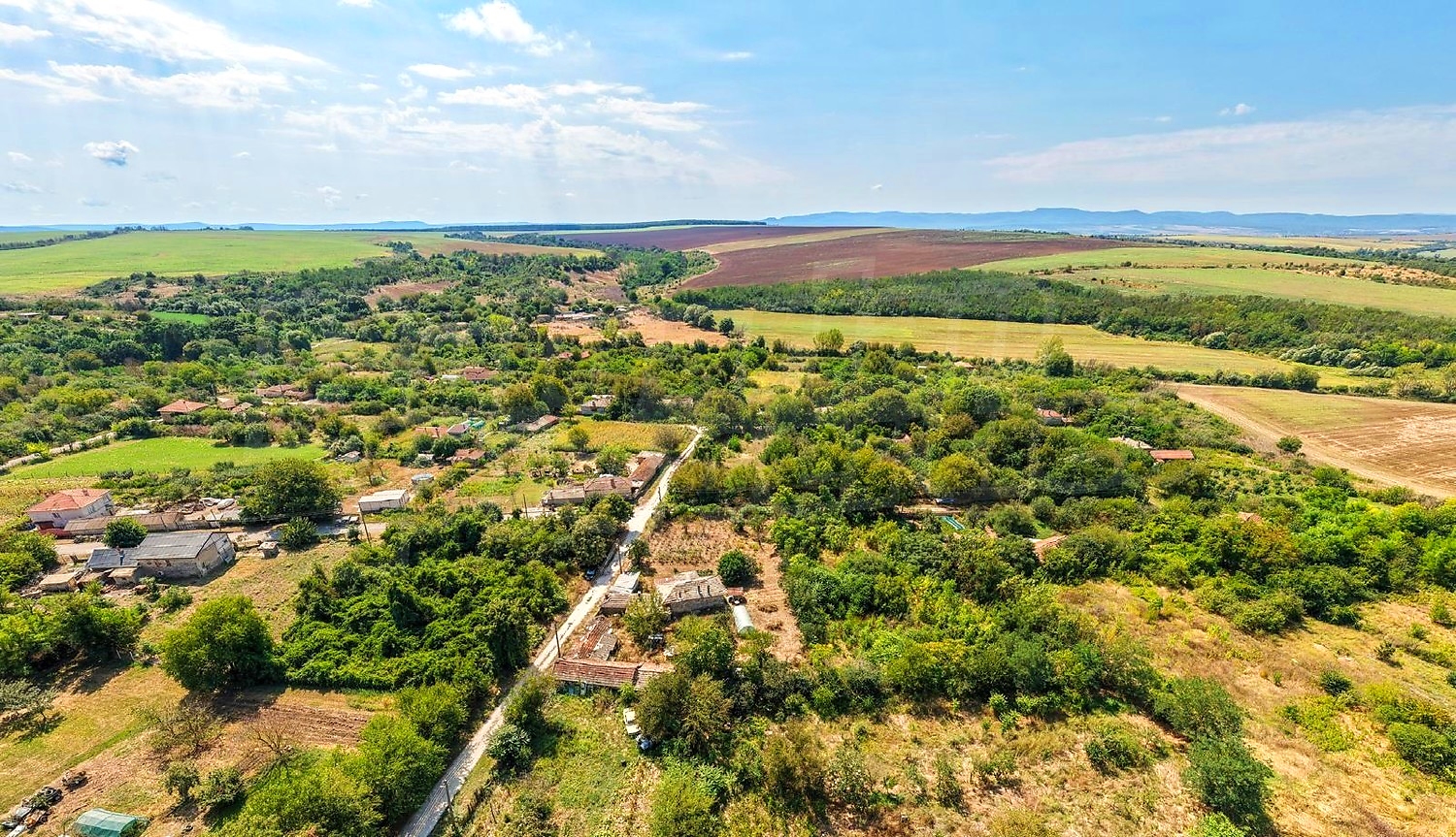 Gallery Picture 10