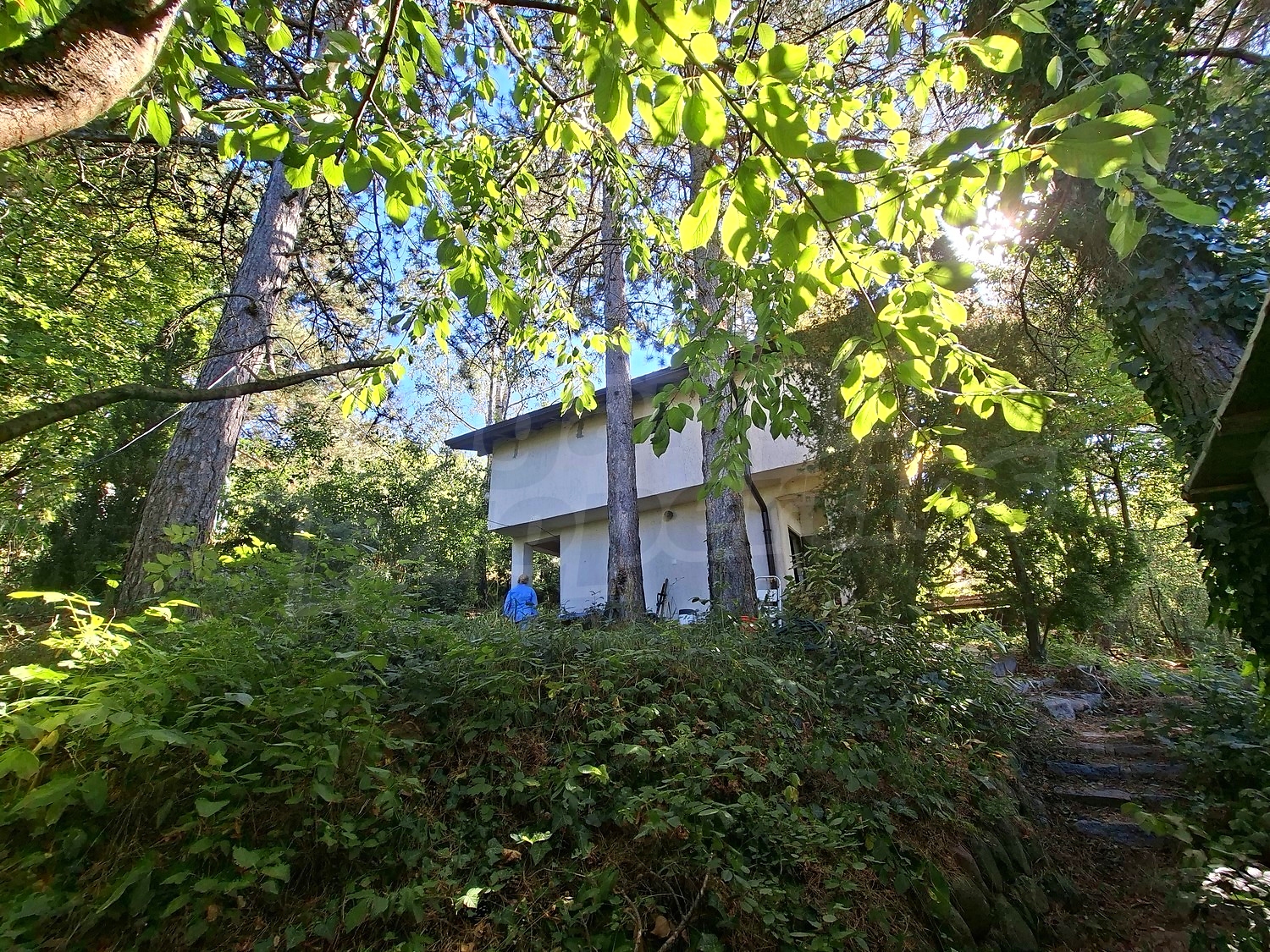 Gallery Picture 32