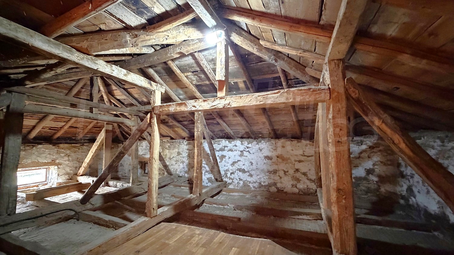 Gallery Picture 46