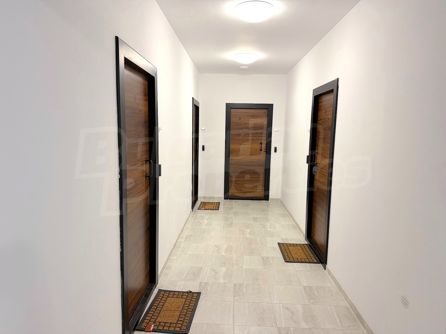 Gallery Picture 114