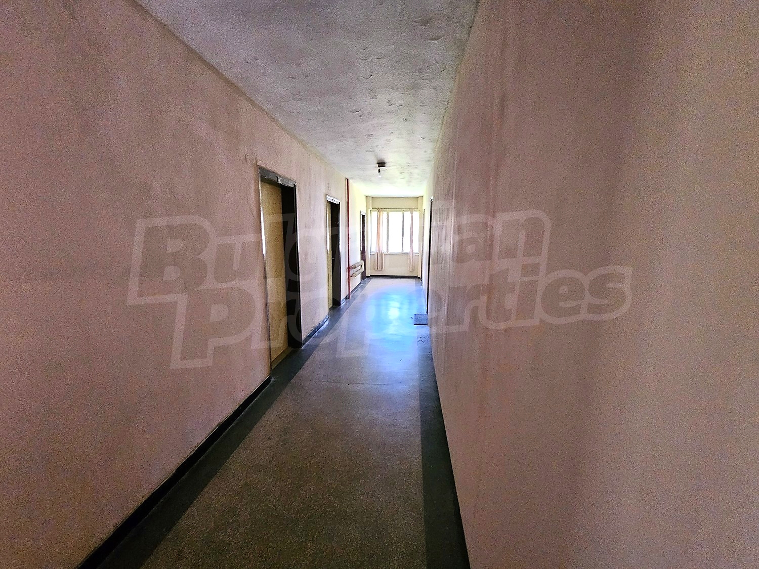 Gallery Picture 14