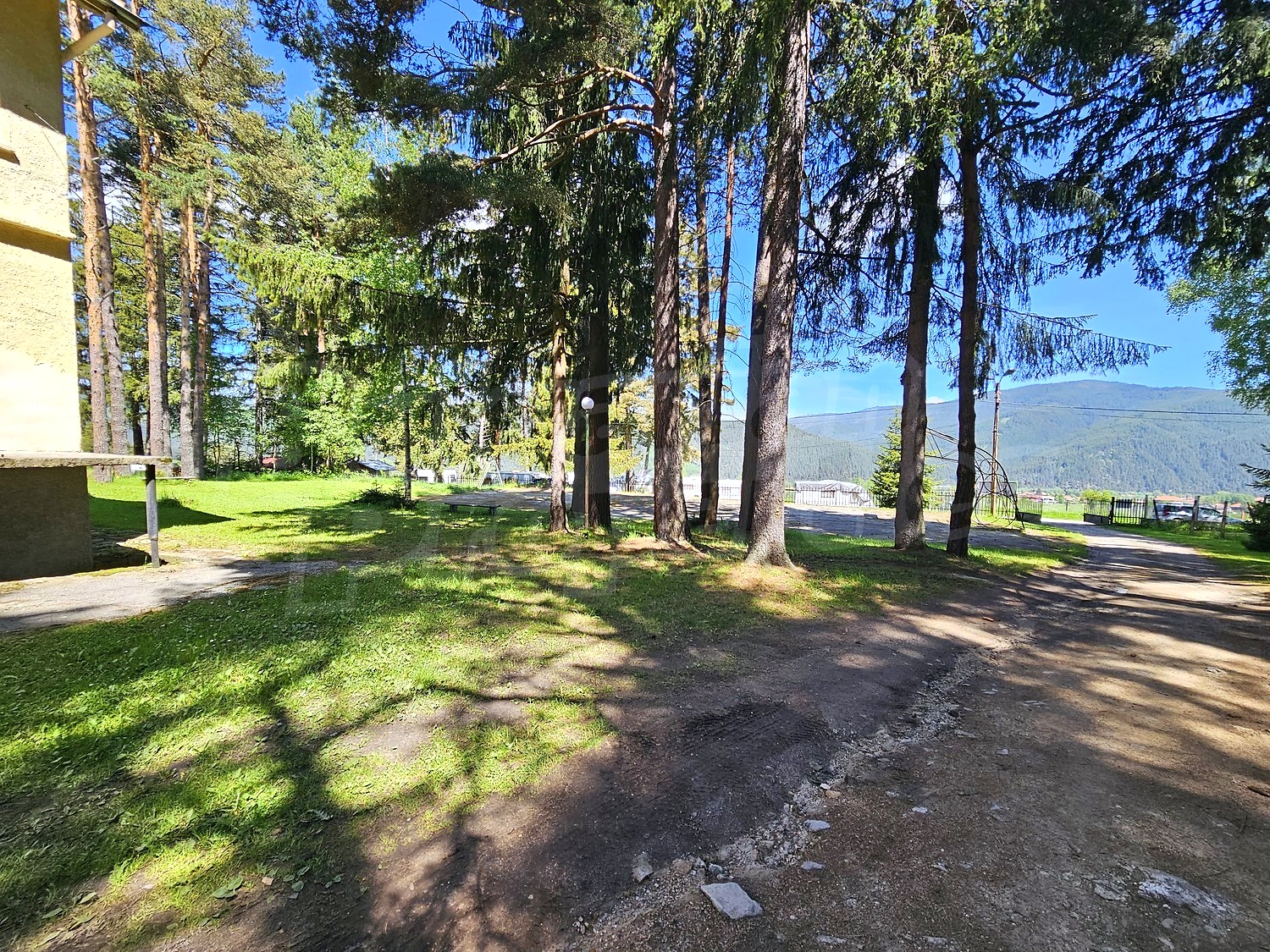 Gallery Picture 37