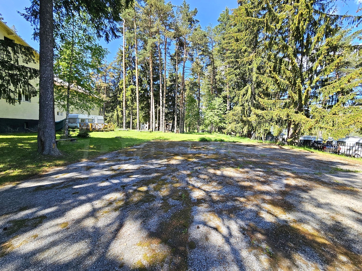 Gallery Picture 41