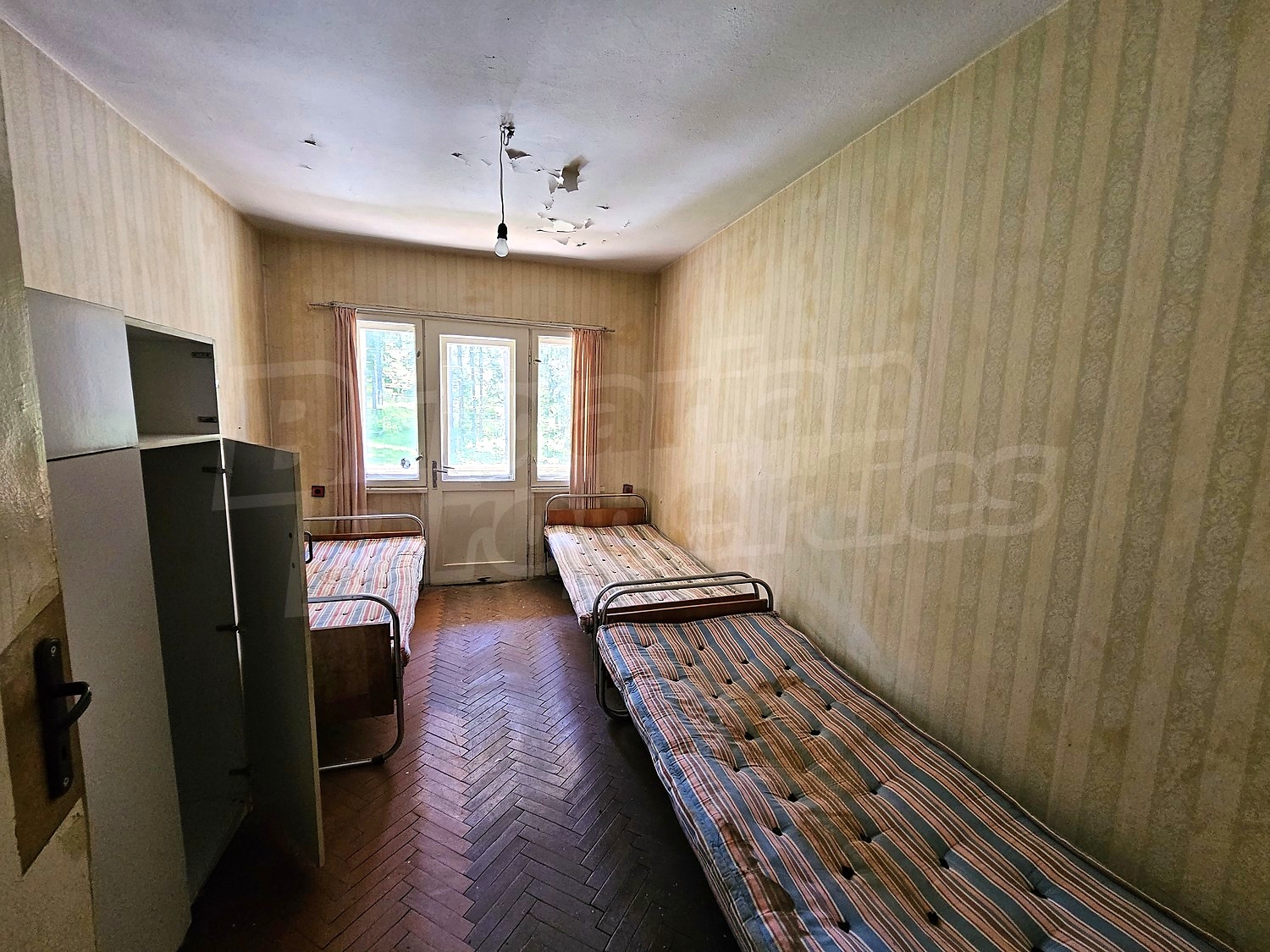 Gallery Picture 17
