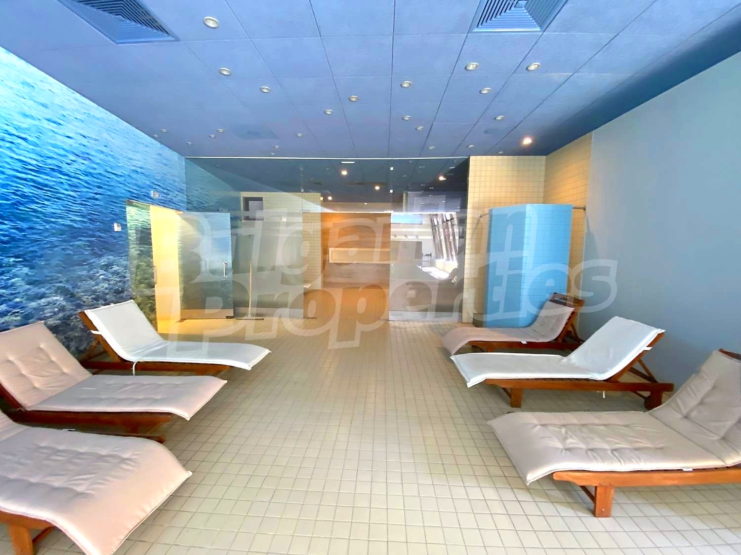 Gallery Picture 21
