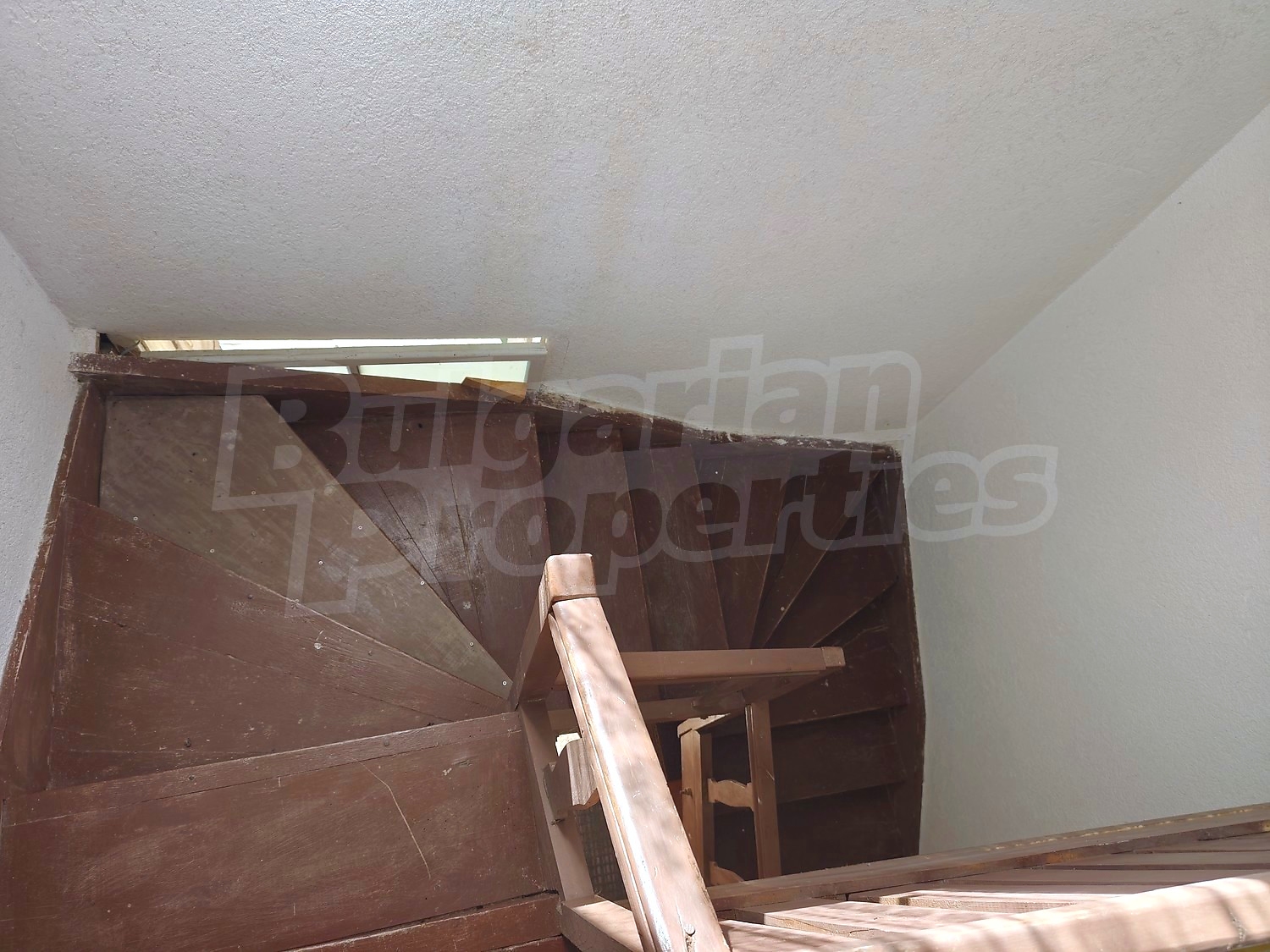 Gallery Picture 24