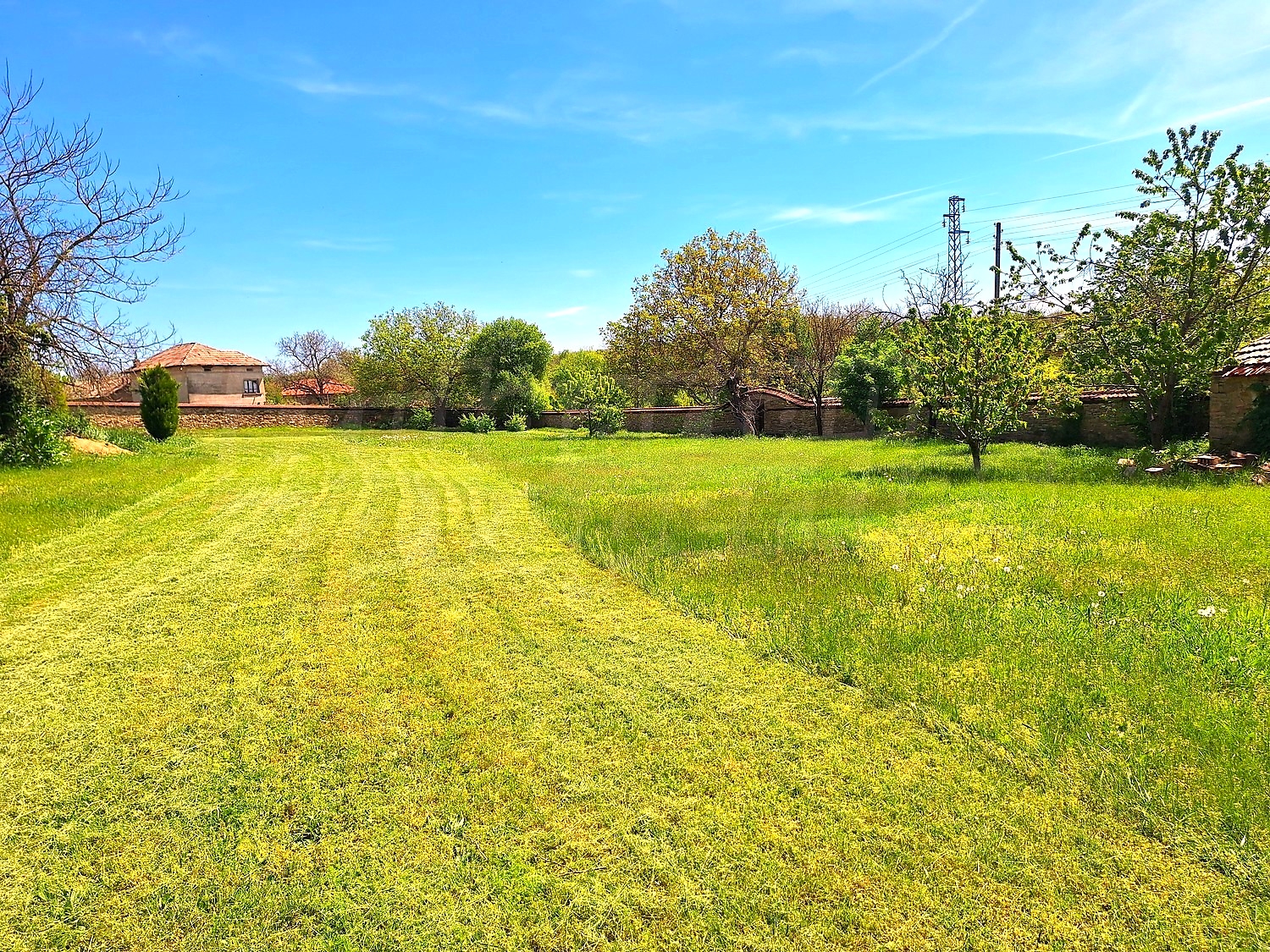 Gallery Picture 5