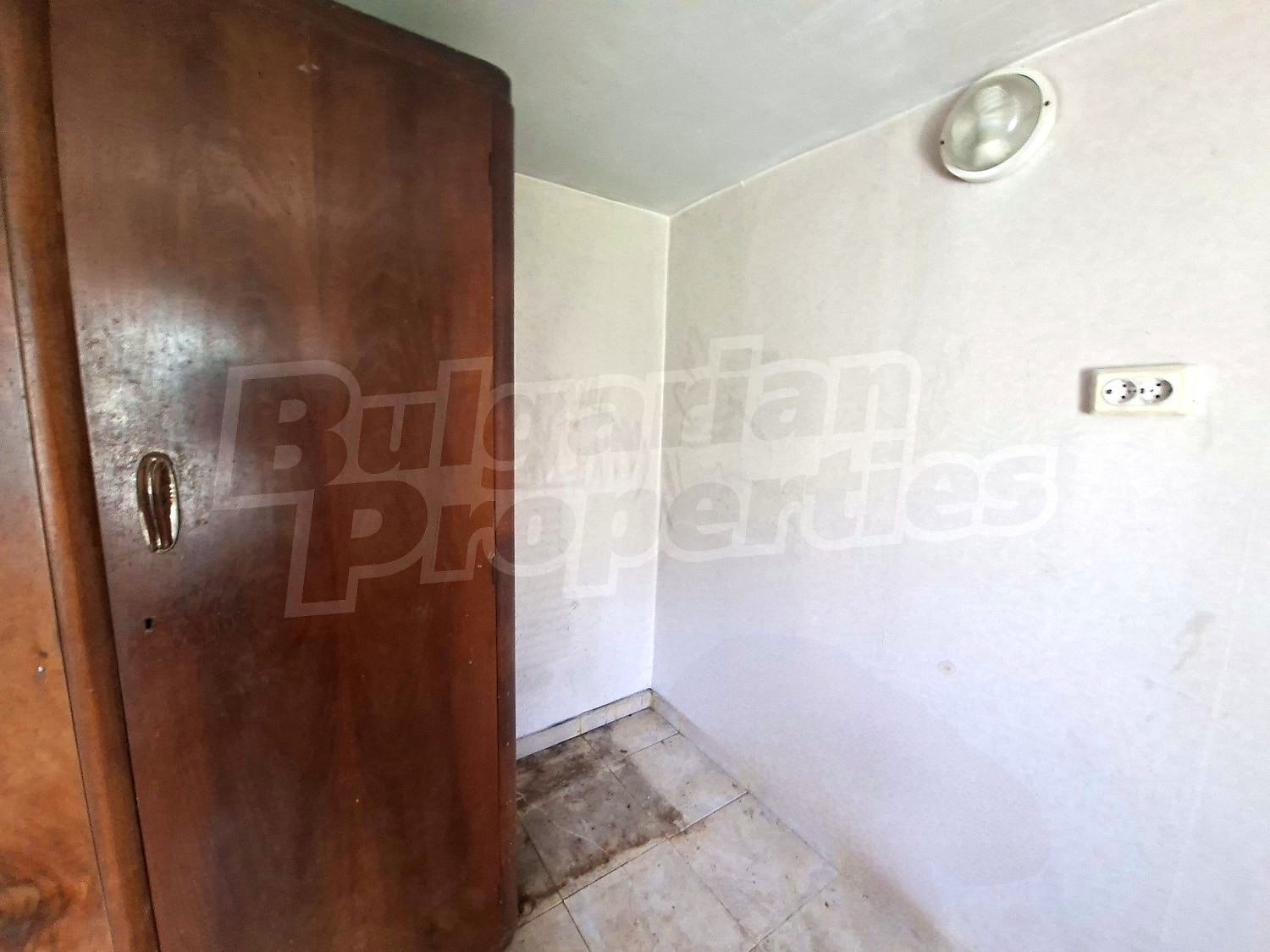 Gallery Picture 13