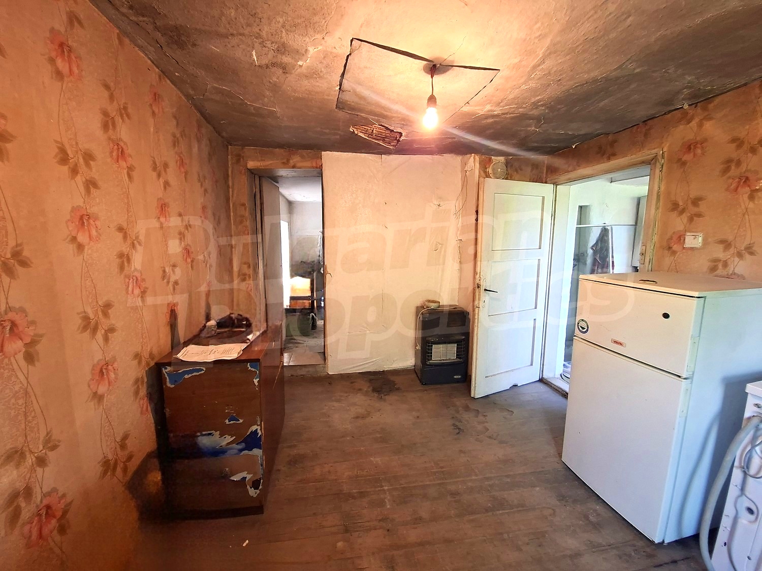 Gallery Picture 19