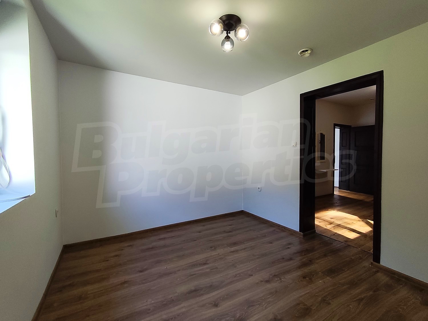 Gallery Picture 26