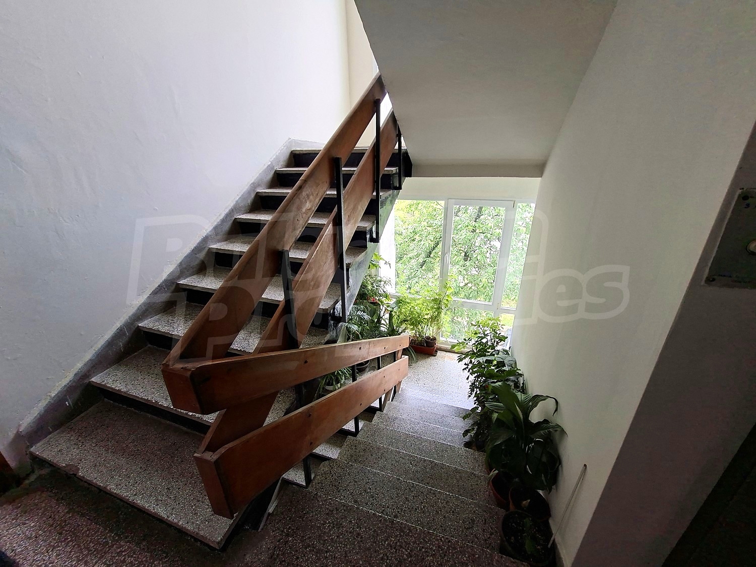 Gallery Picture 19