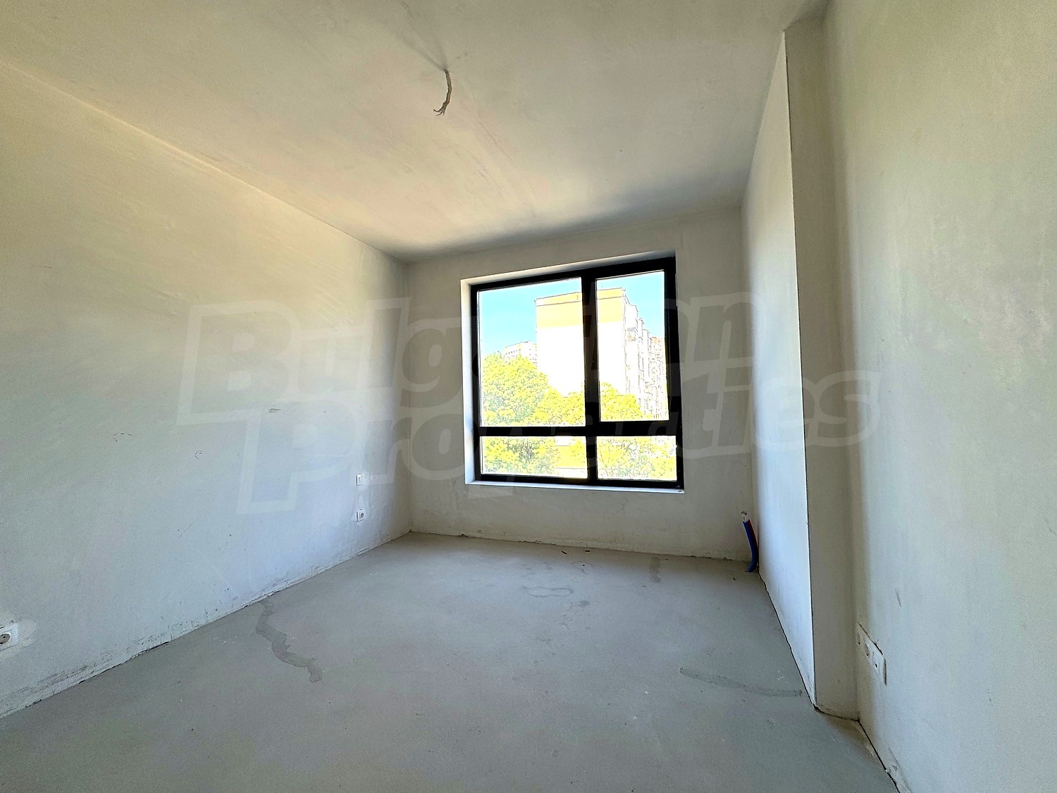 Gallery Picture 12