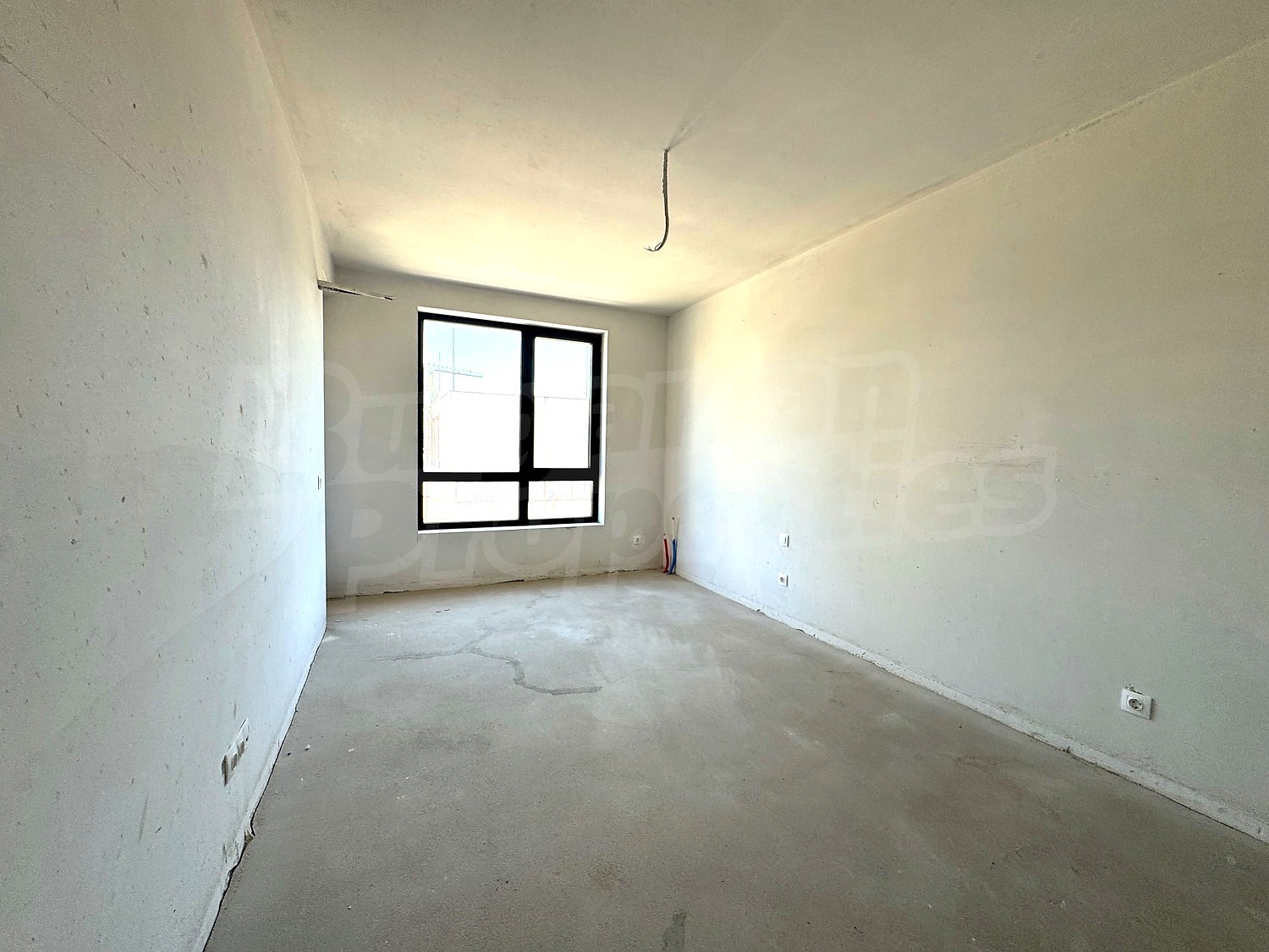 Gallery Picture 14