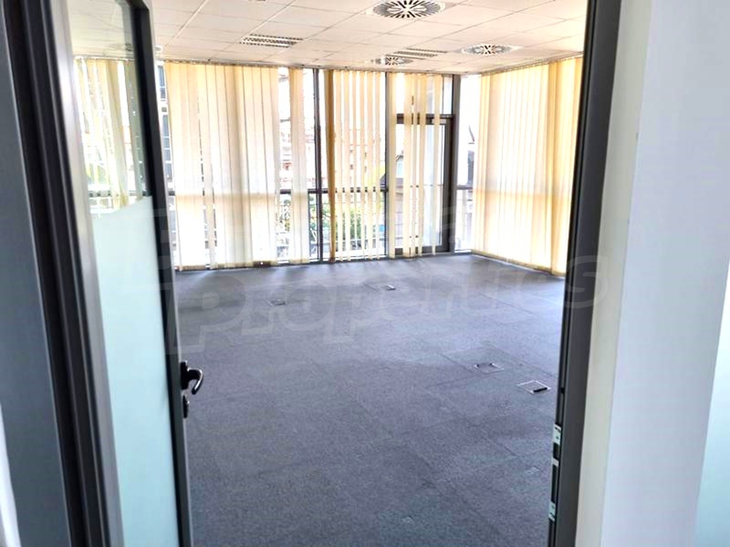Gallery Picture 6