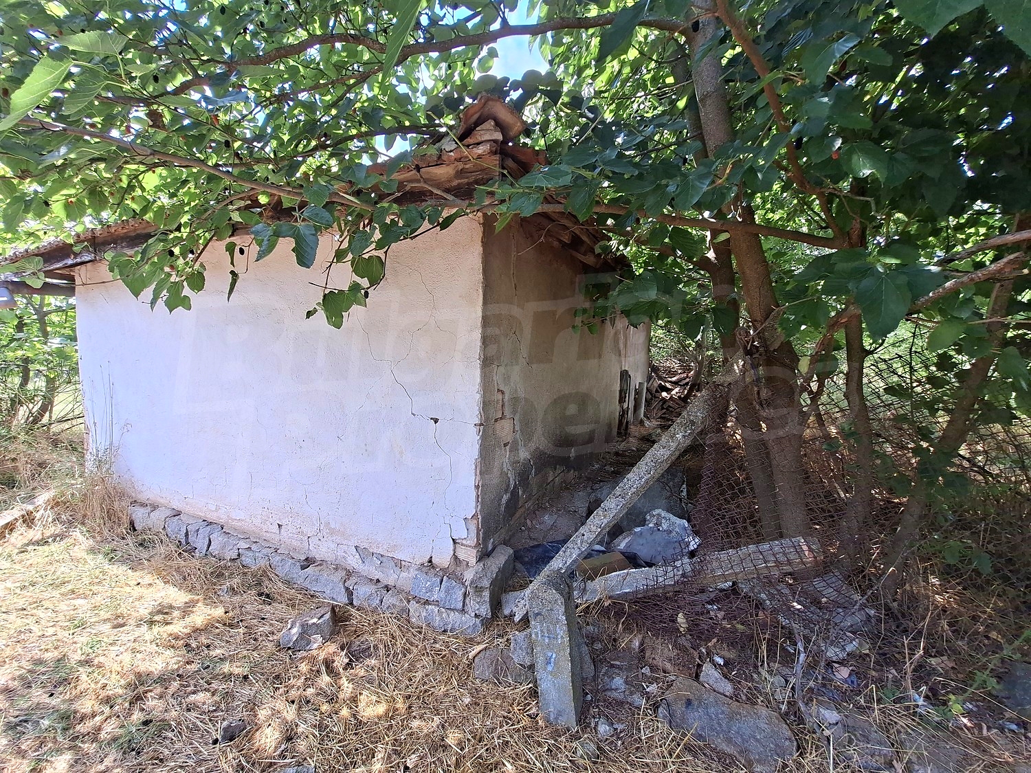 Gallery Picture 15