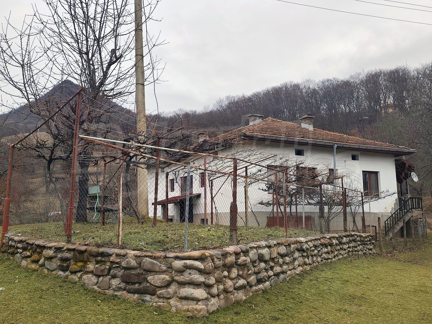 Gallery Picture 58