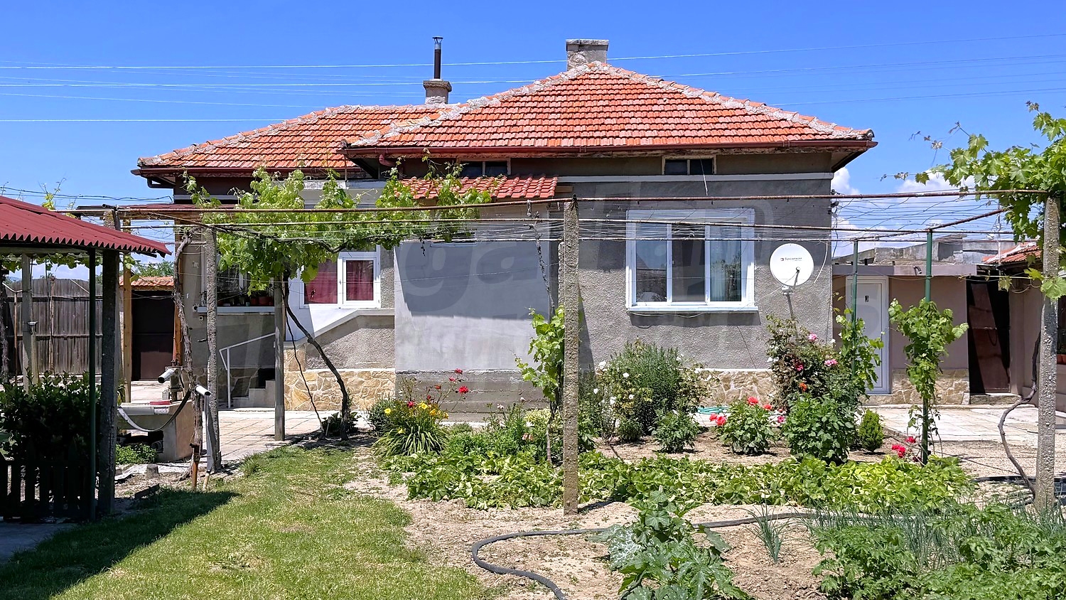 Gallery Picture 47