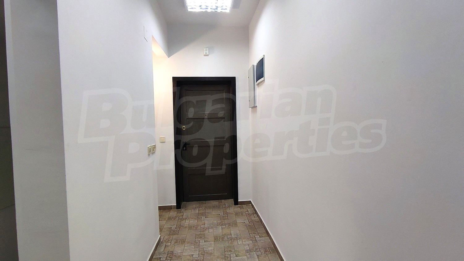 Gallery Picture 12