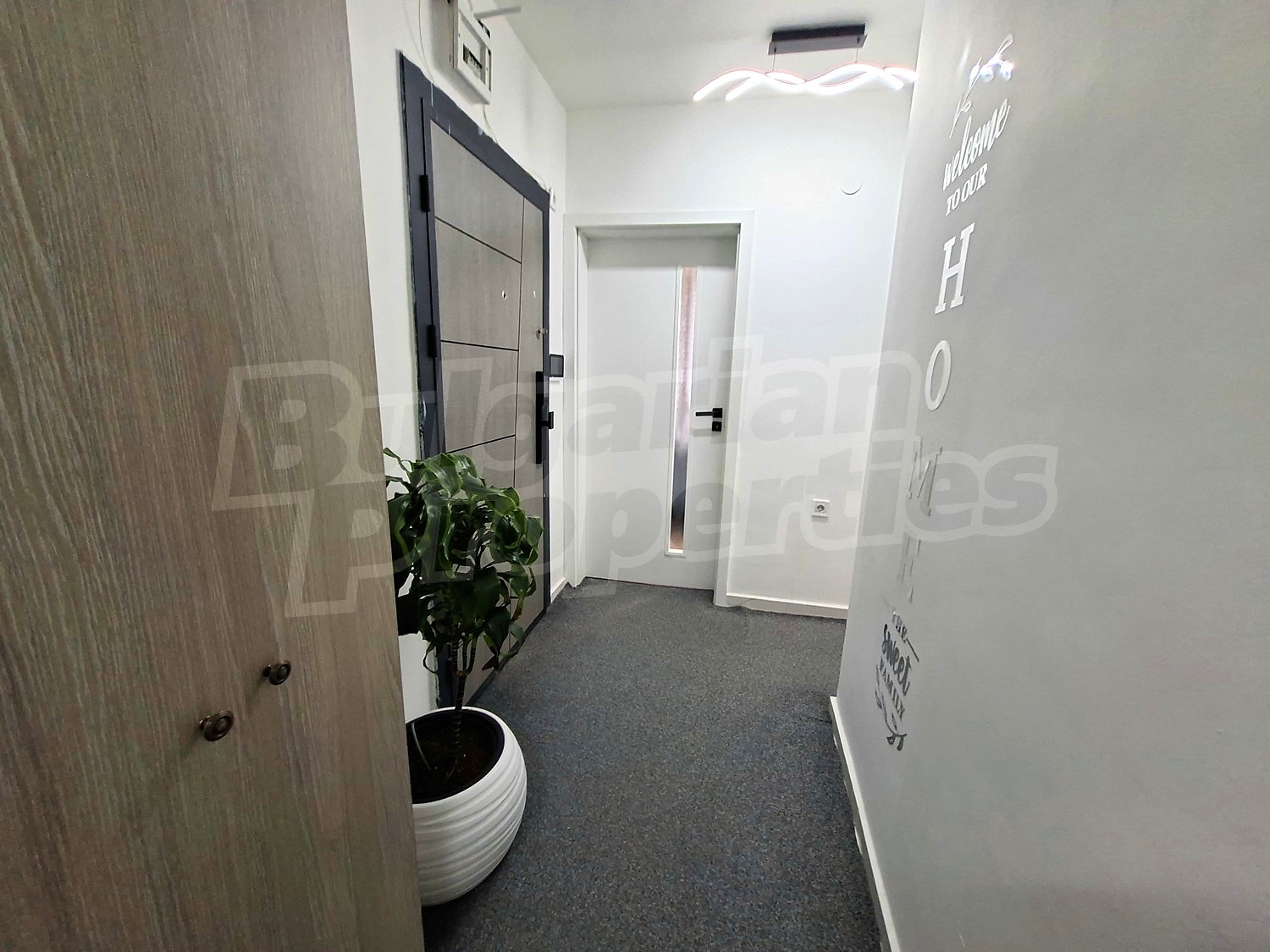 Gallery Picture 31